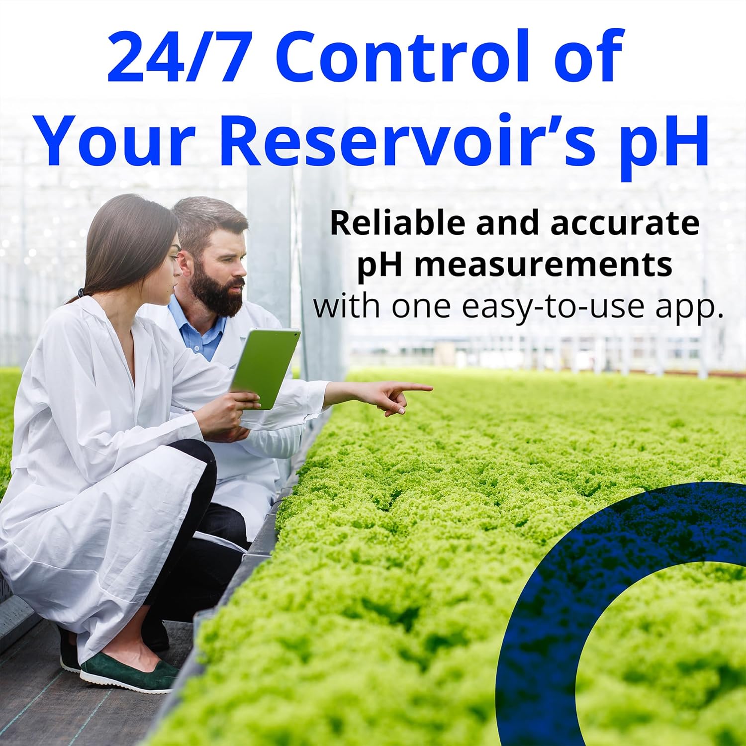 Bluelab pH Controller Wi-Fi 24/7 Reservoir Monitoring for pH with Automated Nutrient Dosing, Edenic Integration, Replaceable Probes Safety Features Optimal for Hydroponics & Indoor Plants