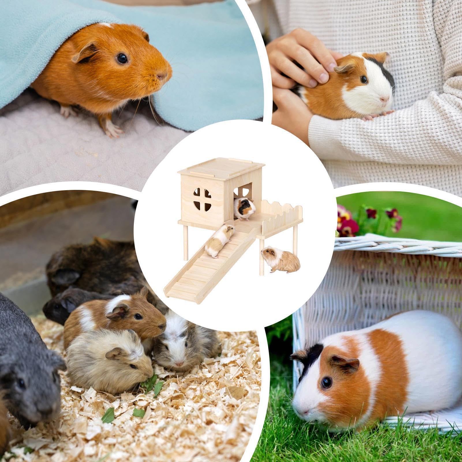 Hamster Home Anti-Slip Wooden Double-Layer Climbing with Ladder Secure