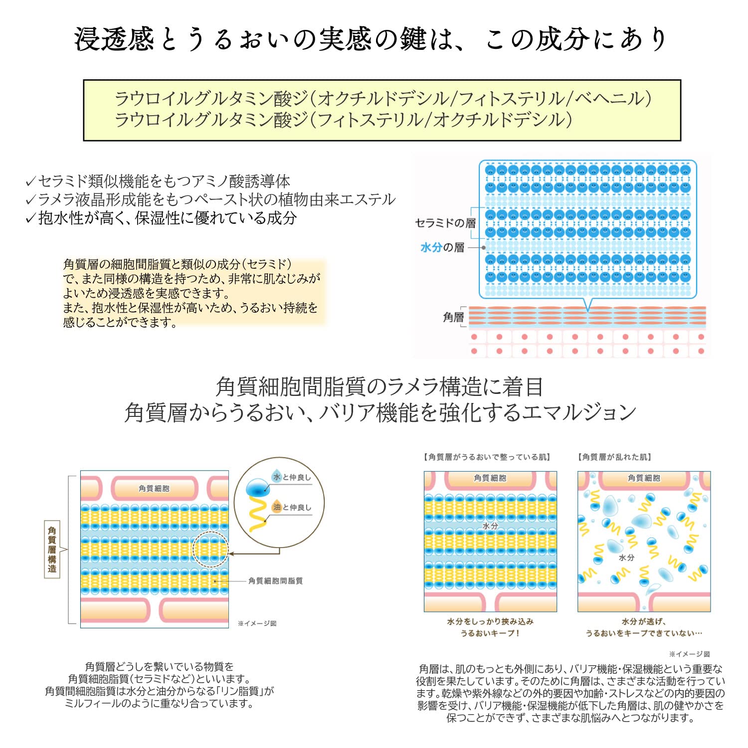 Amazon.co.jp: Deaiwo オールインワン クリーム 美容液 デアイヲビヨウ