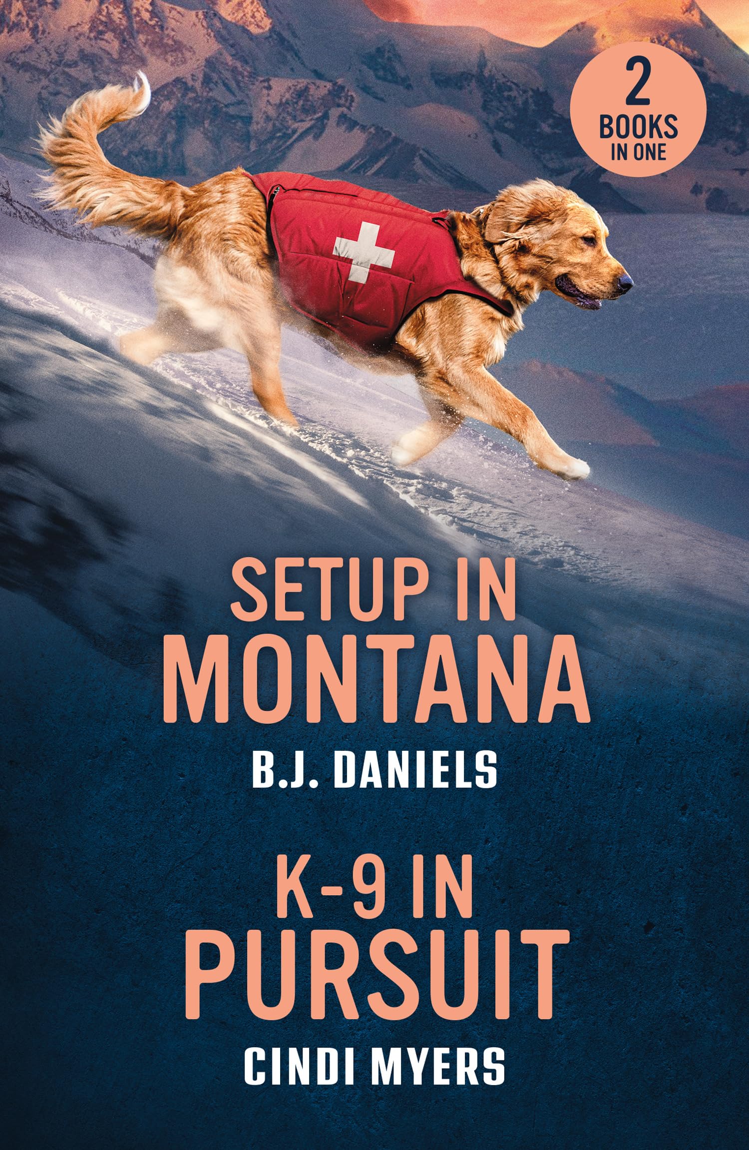 Setup In Montana / K-9 In Pursuit: 2 thrilling small town romances for fans of murder mysteries, deadly killers and hot cowboys! New in 2026!