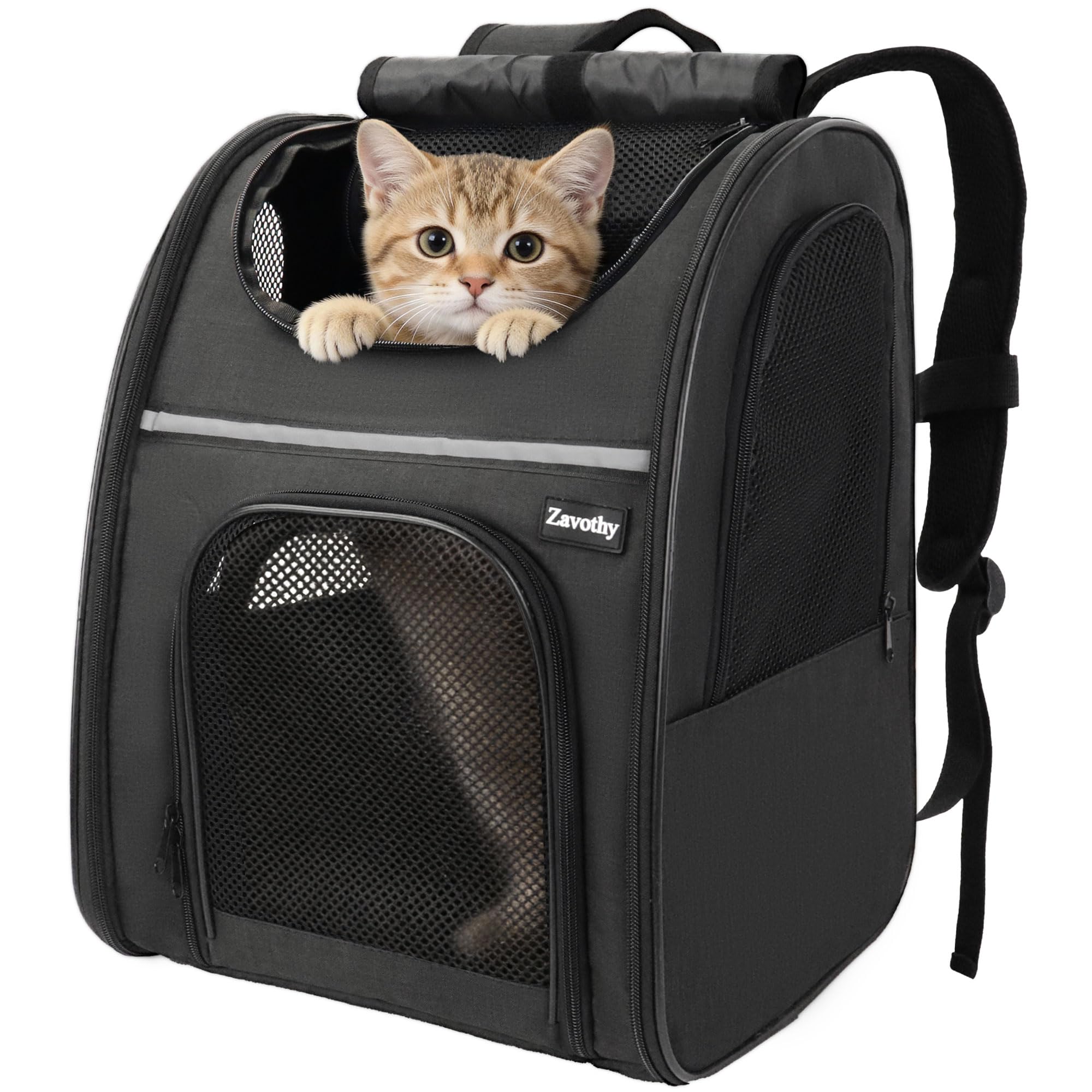 Zavothy Zaino per Cani e Gatti, Zainetto Trasportino Portatile e Pieghevole, con Finestra a Rete e Supporto Imbottito per la Schiena, Traspirante, Carico Massimo 8kg (Nero)