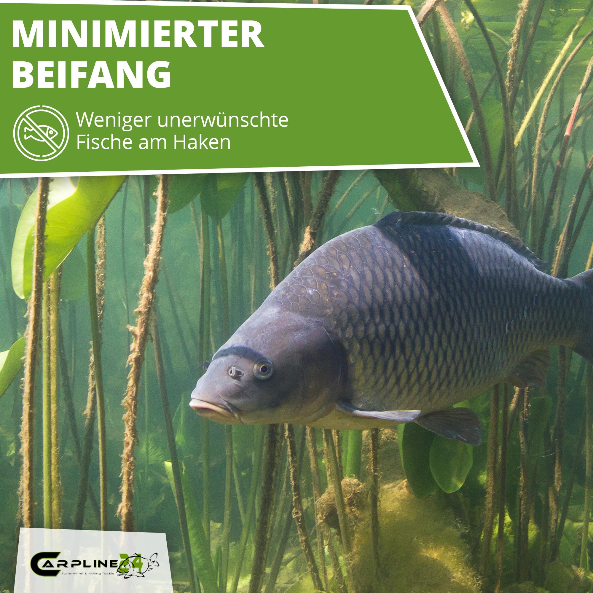 Tigernüsse Mix - 20 Kg - 8 bis 18 mm, Tigernuss Angelköder für Karpfen, zum Anfüttern & Angeln, Grundfutter, Carp Baits, Fischfutter & Karpfenköder, geringer Beifang