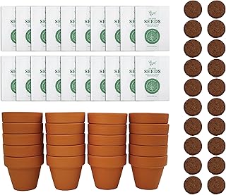 BUZZY Seeds Forget Me Not Flower Grow Kit Bulk 20pk Mini Terracotta Pots...