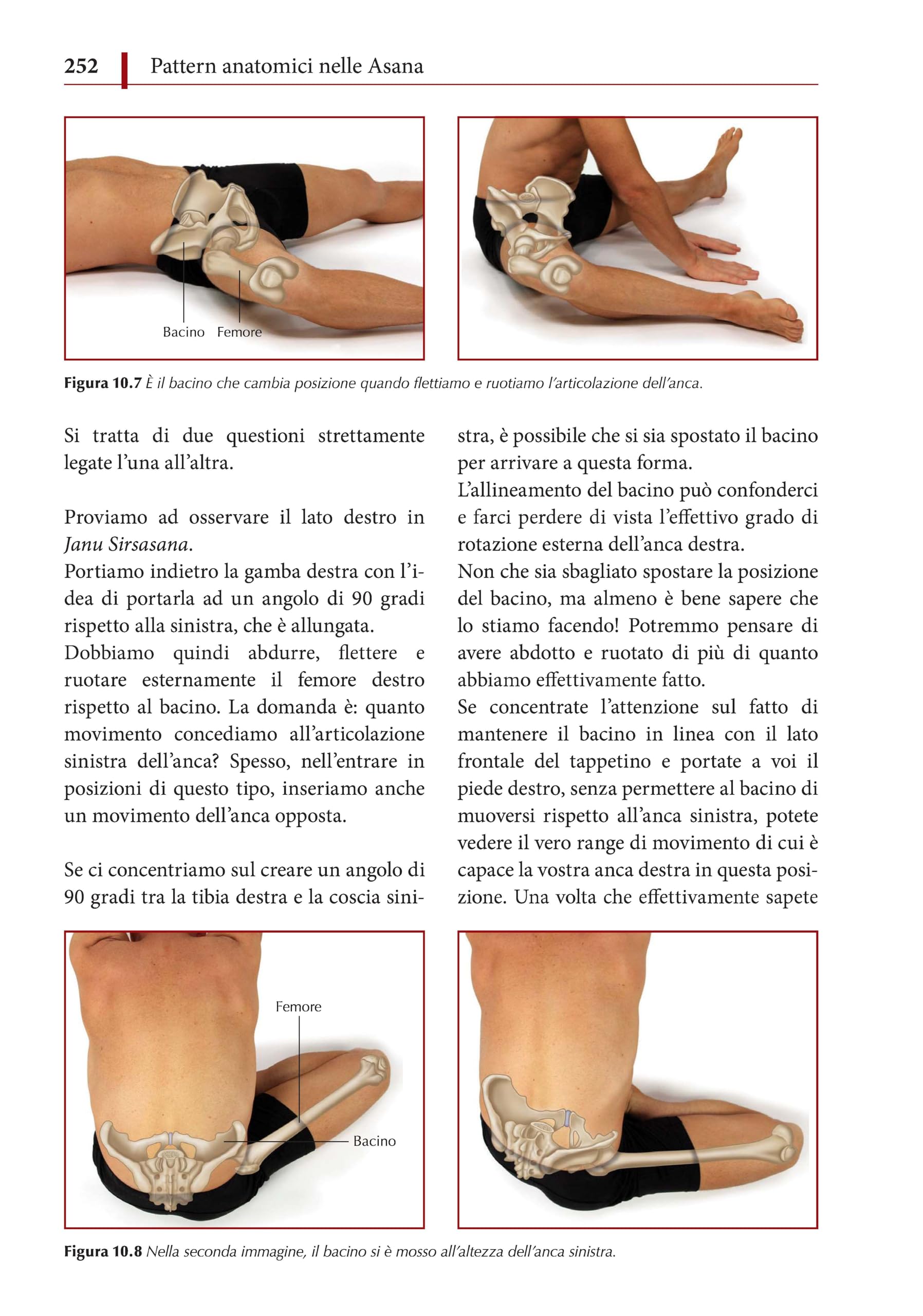 Anatomia funzionale dello yoga. Una guida per praticanti e insegnanti
