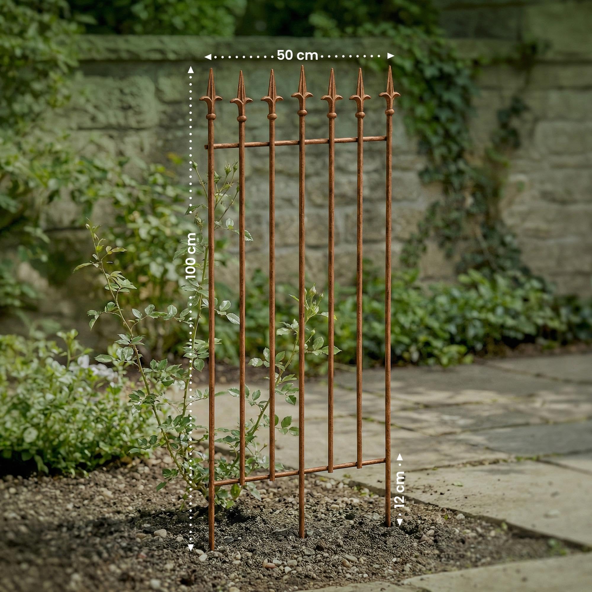 CLP Rankgitter 2er Set Metall 100x50 cm Elisa, Kletterhilfen stabil für Rosen und Efeu, Pflanzgitter im Jugendstil, Rankhilfen für Garten, Farbe:antik braun