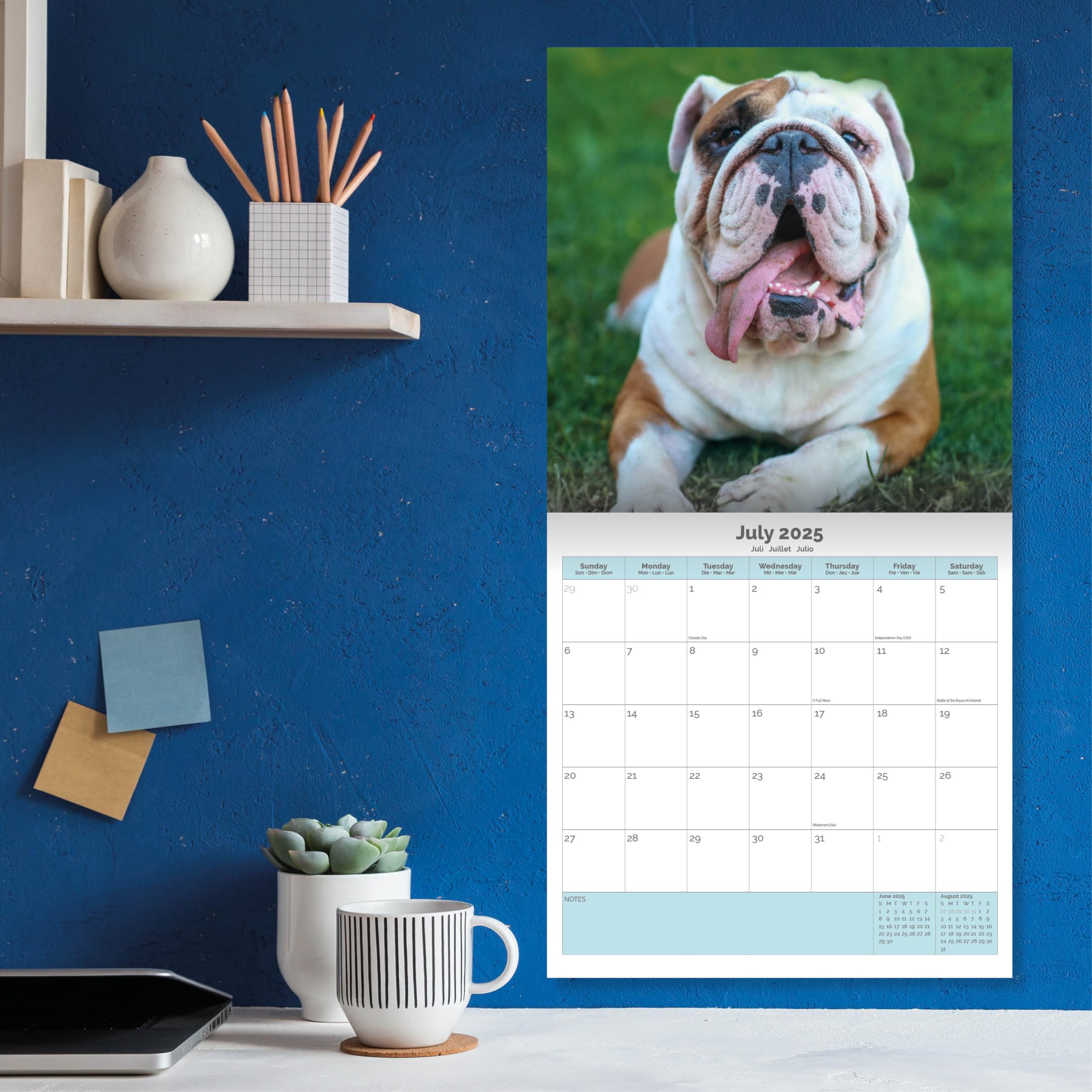 Baker and Bray Bulldog Calendar 2026, Large Square Wall Calendar With Organisational Stickers, 16 Month, Bulldog Gift Dog Calendar - Image 4