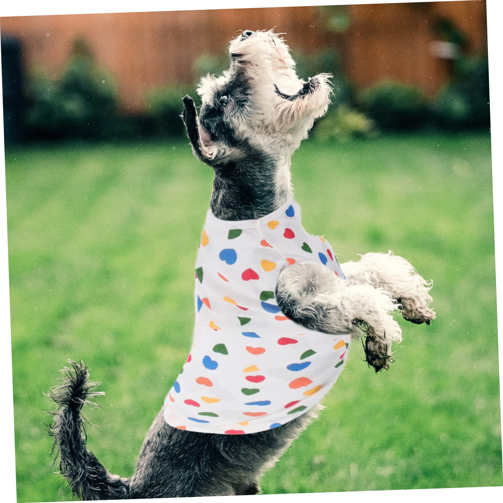 Mipcase 5 Pezzi Di Abbigliamento Alla Moda Per Animali Domestici Maglietta Per Cani E Gatti in Cotone Facile Da Indossare
