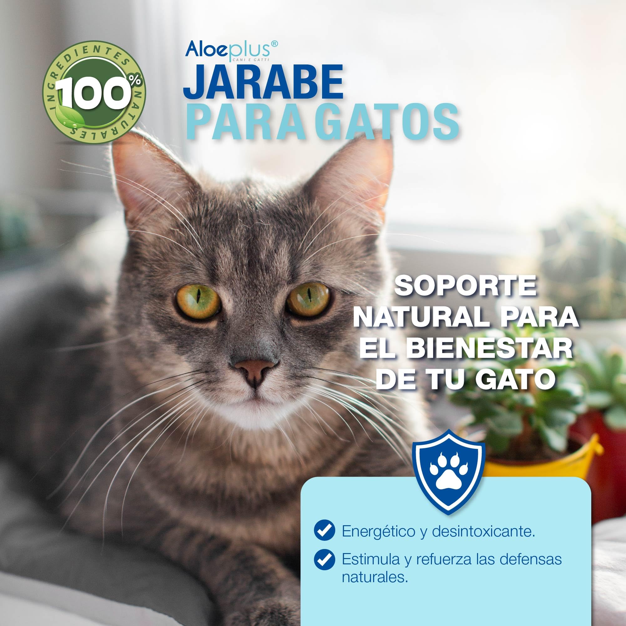 ALOEPLUS Gatos Jarabe 100ml - Complemento Alimenticio Energético y Desintoxicante con Aloe Arborescens Bio, Refuerza Las Defensas Naturales, Ideal como Reconstituyente para Gatos Mayores y Cachorros