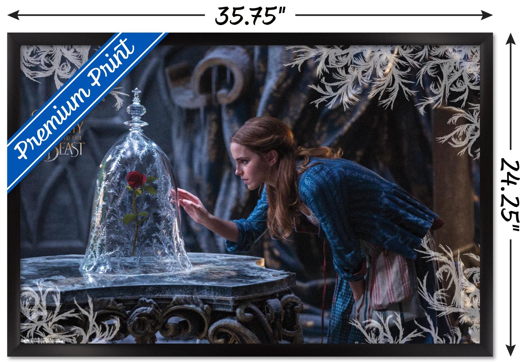Disney Beauty and The Beast - Rose Wall Poster : Amazon.ca: Home