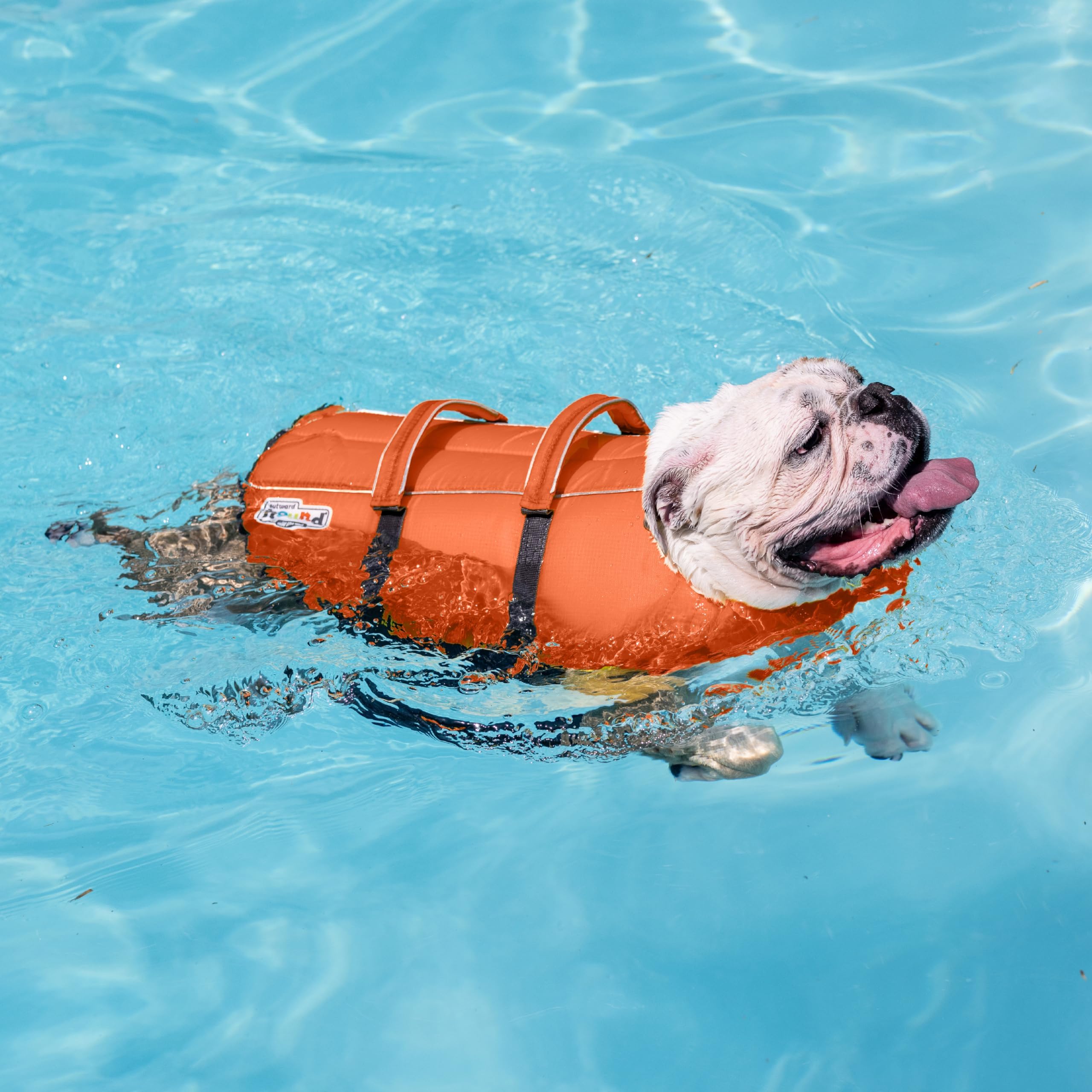 Outward Hound Gilet de sauvetage pour chien Granby Splash - orange - S