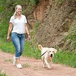 VIVAGLORY Dog Leash Dog Training Walking Leash Heavy Duty Comfortable Padded Handle Reflective for Safety Dog Leashes for Medium & Large Dogs, Black | with Soft Padded Handle for Training & Walking, Heavy Duty & Double Layer Nylon Pet Puppy
