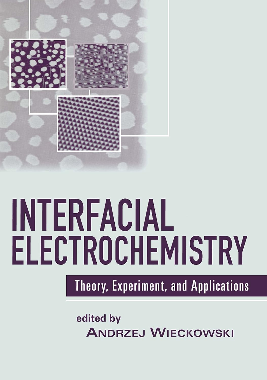 Interfacial Electrochemistry: Theory: Experiment, and Applications      1st Edition, Kindle Edition