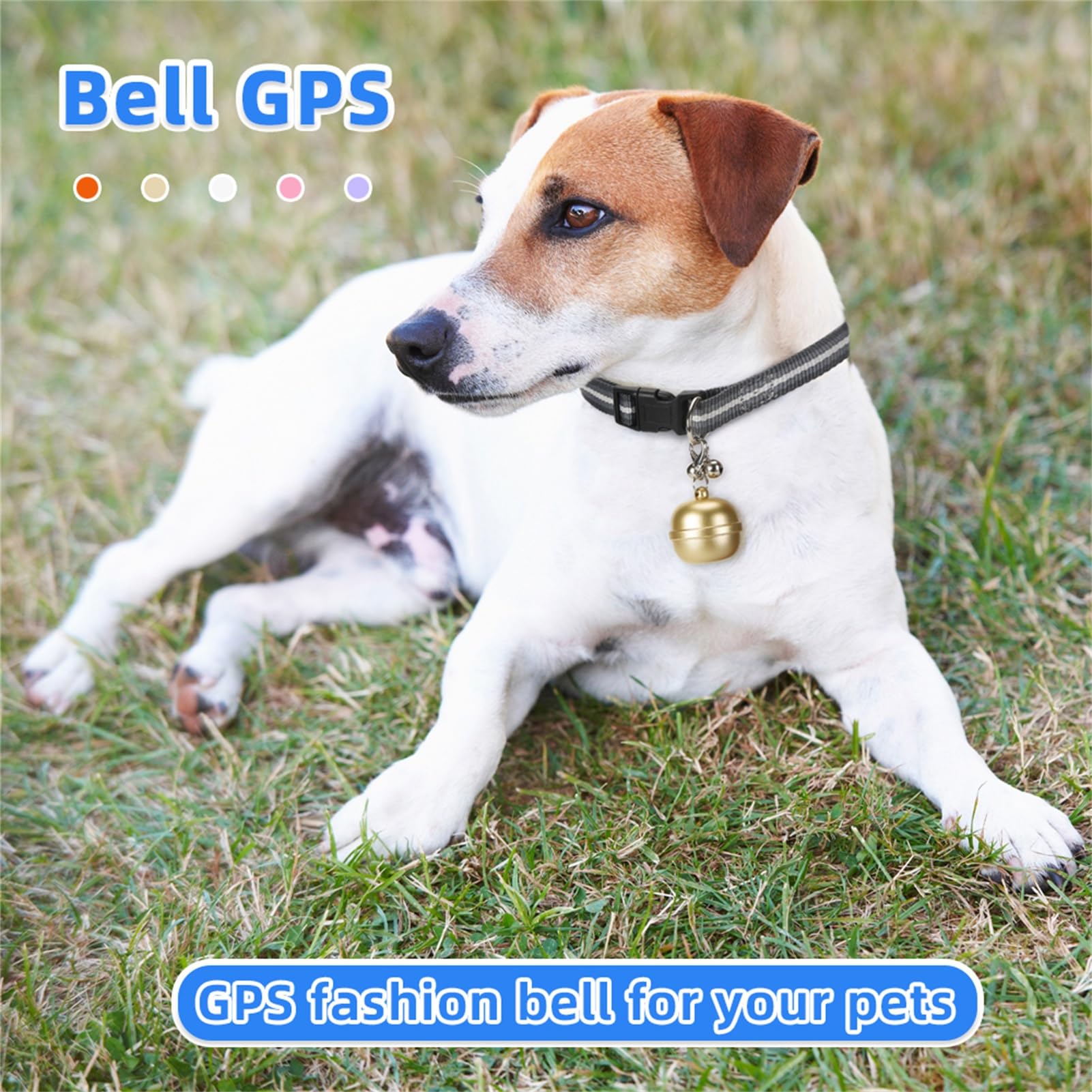 Localizador GPS para Mascotas, Dispositivo electrónico antipérdida Impermeable, Localizador GPS portátil para posicionamiento de Mascotas, Localizador GPS para Mascotas