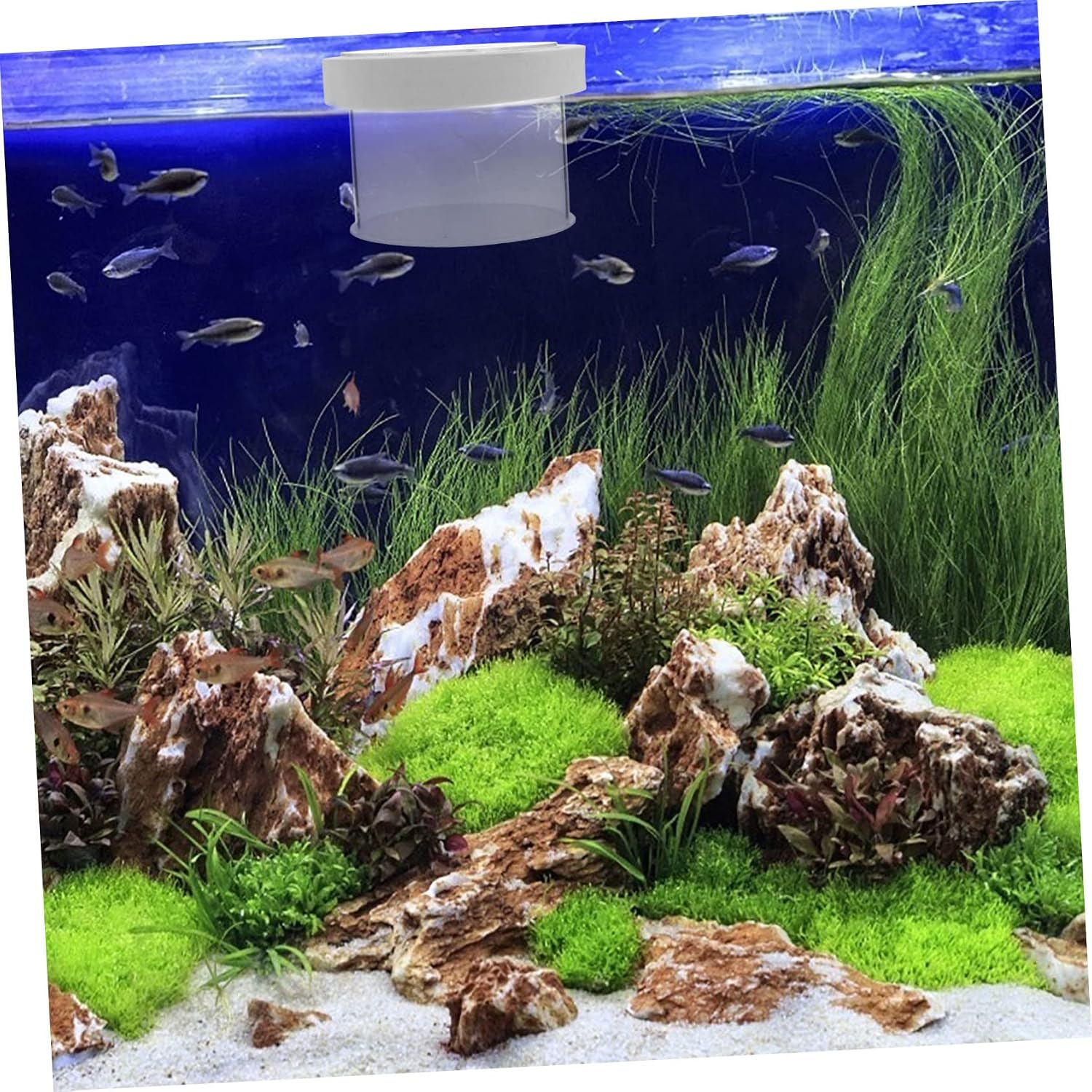 PRETYZOOM 2pcs Floating Fish Tank Breeding Box Fish Container Water Permeable Design Cover for Fry Cultivation and Separation for Aquarists