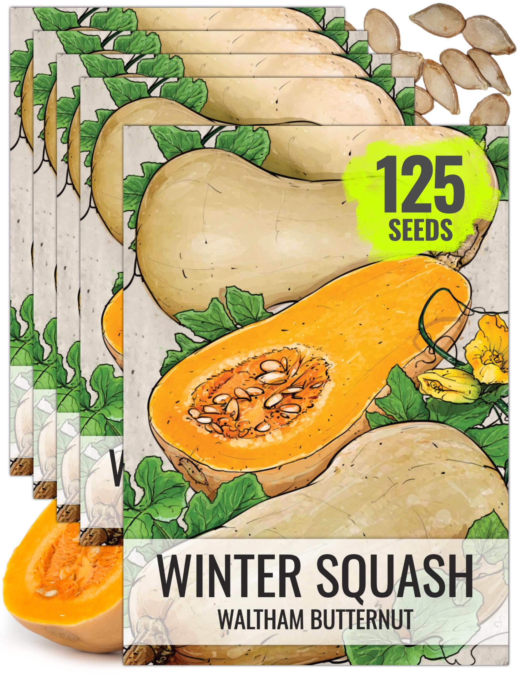 Seed Needs Waltham Butternut Squash Seeds