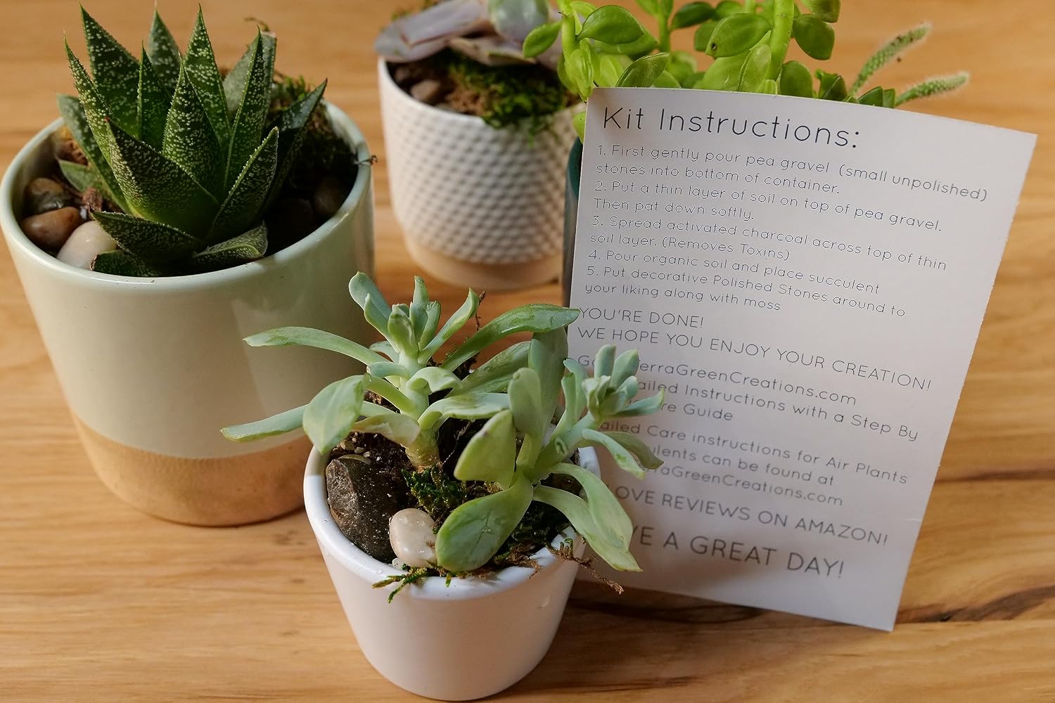 TerraGreen Creations Succulent Planter Kit - Terrarium Kit with Succulent Soil, Gravel, Pebble, Moss, Horticulture Charcoal, Terrarium Supplies For Fairy Gardens, or Cactus - Create Your Own Terrarium