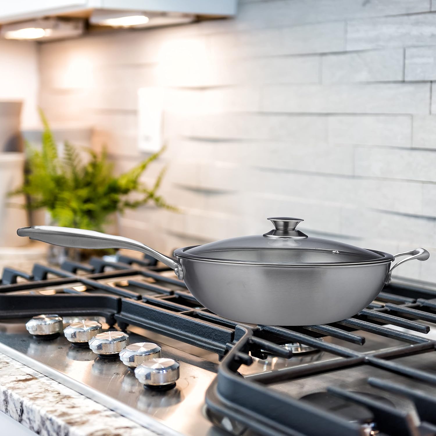 Relaxdays Wok, 32 cm, Uncoated Stainless Steel, Glass Lid, Gas, Induction & Electric Hobs, Stir Fry Pan, Handle, Silver