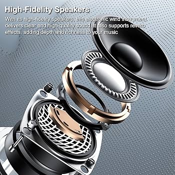 電子機器 管楽器メンテナンス用 Amazon.co.jp: 管楽器、デジタル電子管楽器ポータブル