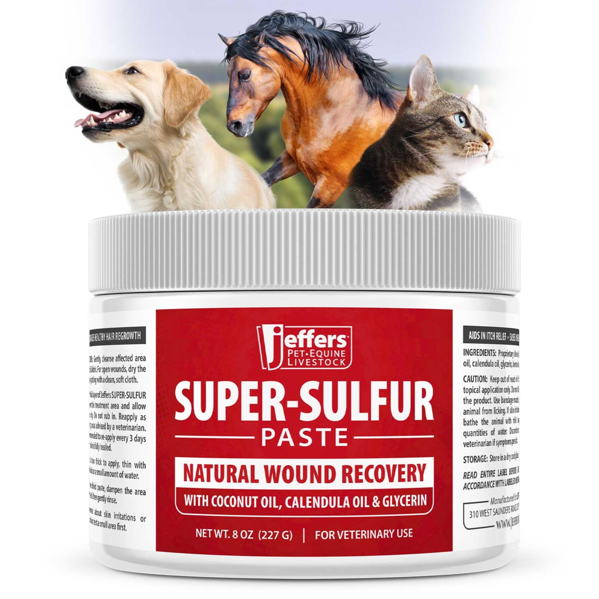 Jeffers Super Sulfur Natural Healing Paste for Dogs, Cats & Horses 8 oz – Wound Care, Skin & Coat Support for Animals, Soothes Itching & Inflammation,