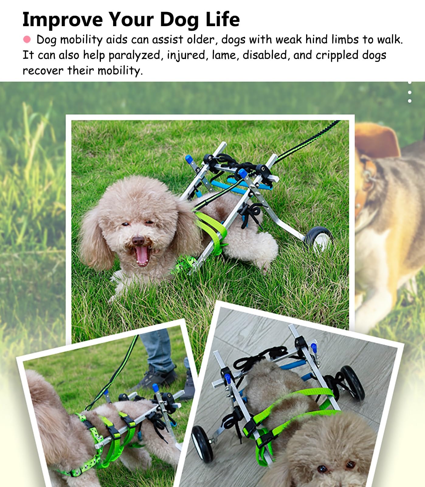 Carrello Cani Disabili Sedia a Rotelle per Cani/ gatti con 2 Ruote e Imbracatura, Rimorchio per Bici per Cani di Piccole Dimensioni per Zampe Posteriori Paralizzate, Carrello Leggero per Animali Domes