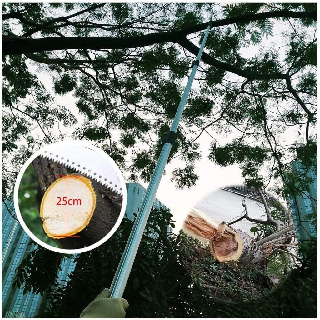 Sierra de poda telescópica, Sierra de pértiga para podadora de árboles Extensible Profesional de 11,5 pies/3,5 m, Uso para podar y Recortar Ramas y Hojas, Sierra para árboles frutales de jardín