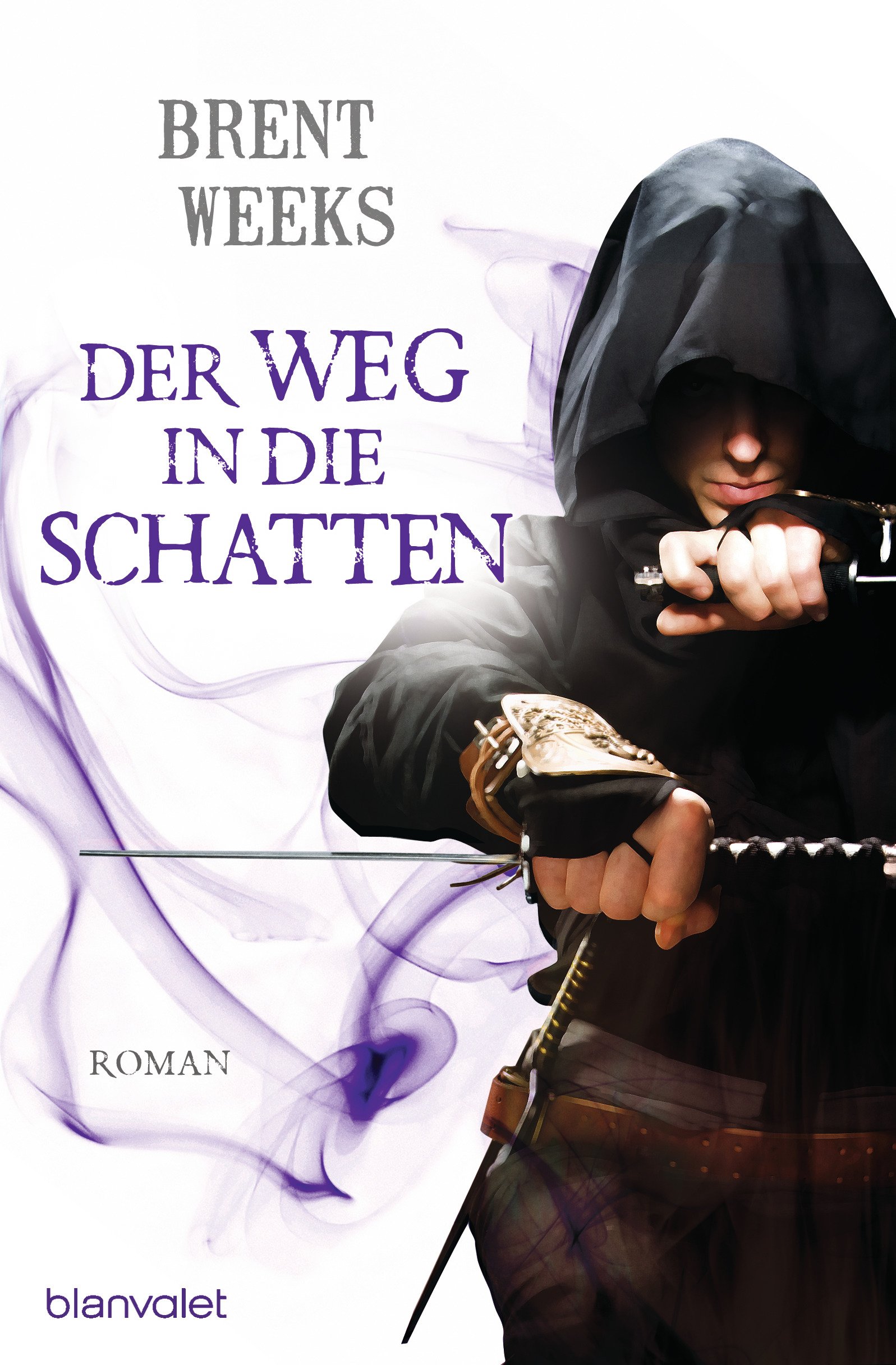 Blanvalet Der Weg in die Schatten: Roman