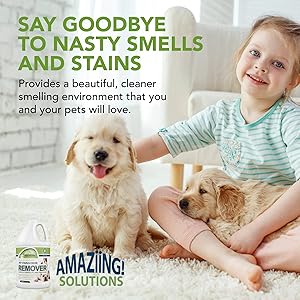 The10 Best Carpet Cleaners for Pets 5 81cqX7o8sSL. AC SL300