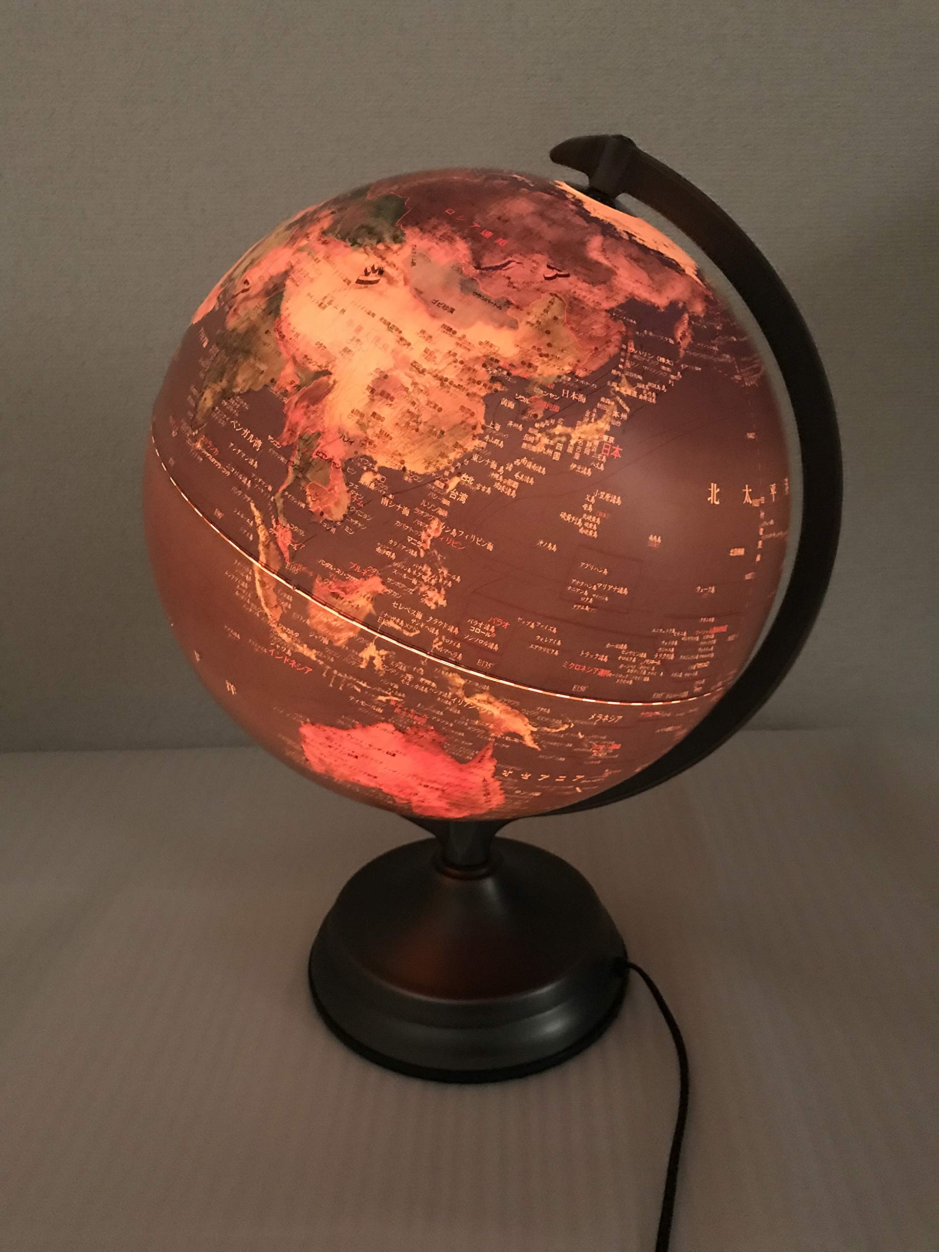 Amazon | レイメイ 地球儀(衛星写真) OYV253 | 地球儀 | 文房具