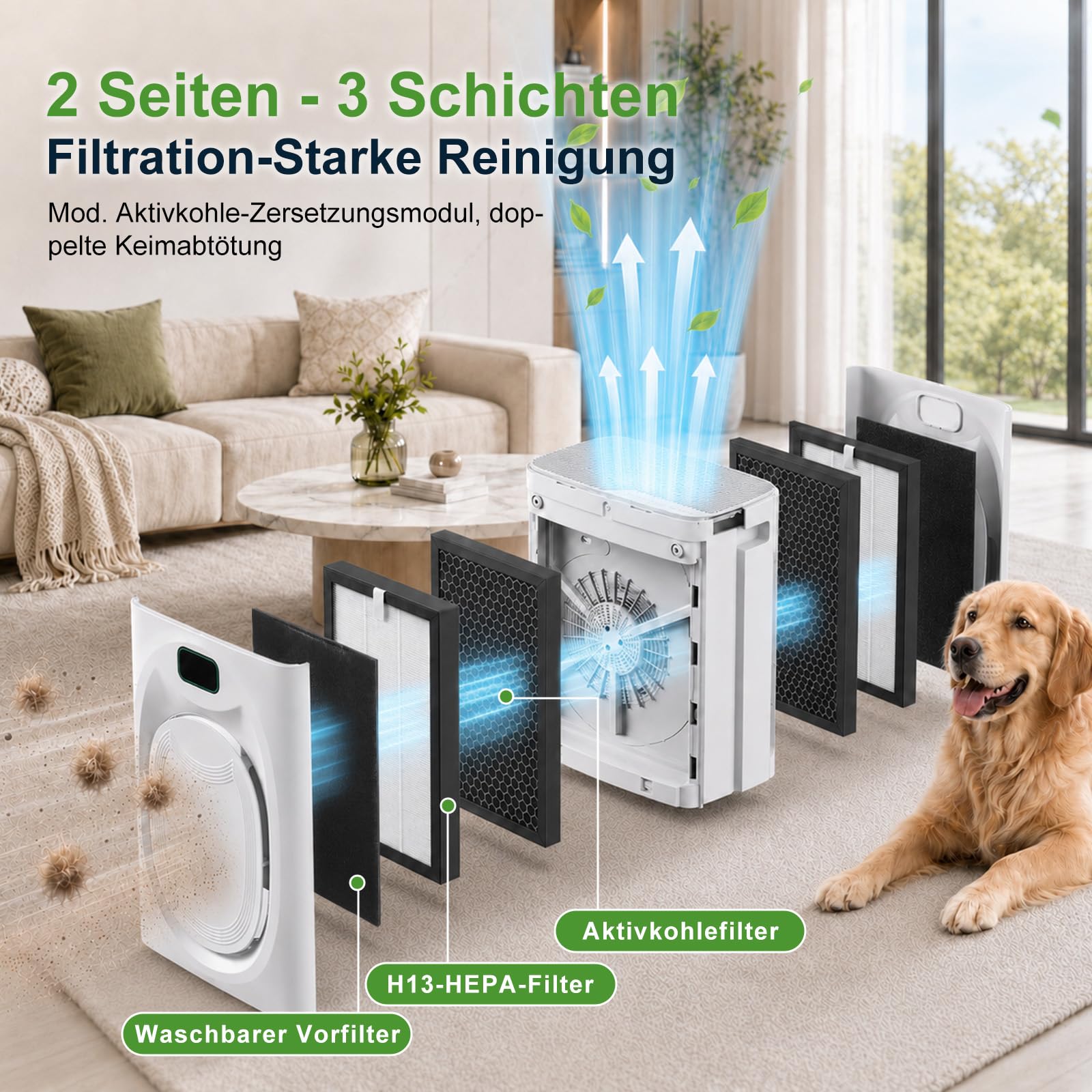 Purificateur d'Air Pour Animaux, CADR 350m³/h Minuterie Pour Allergies