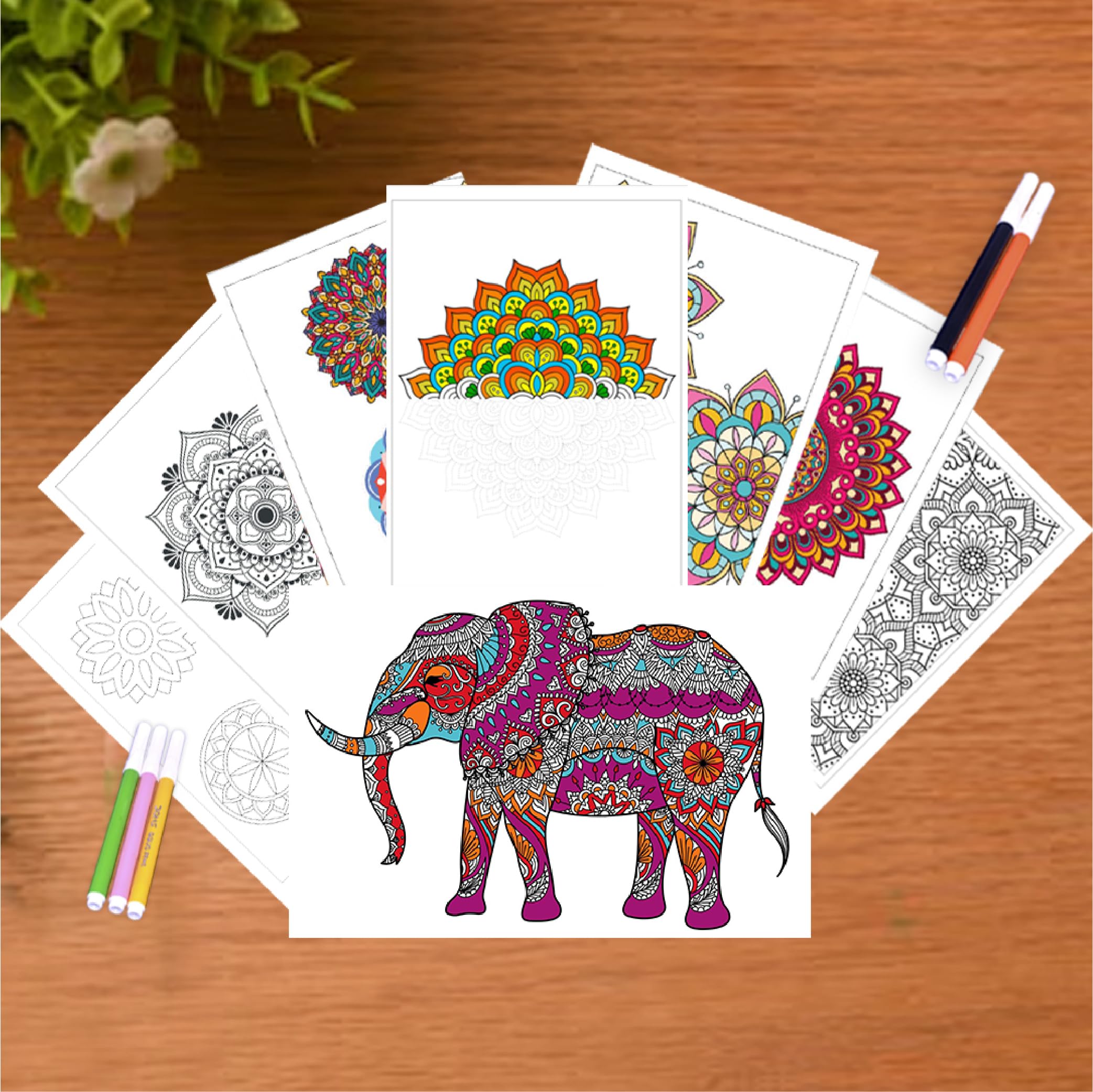 ToyMagic Paper Mystical Mandala Coloring DIY Art & Craft Set|Includes 20 Printed Sheet for Coloring with 12 Sketch Pens|Creative Sets Learning & Activity Toy|Birthday Gift for Kids|Multicolor