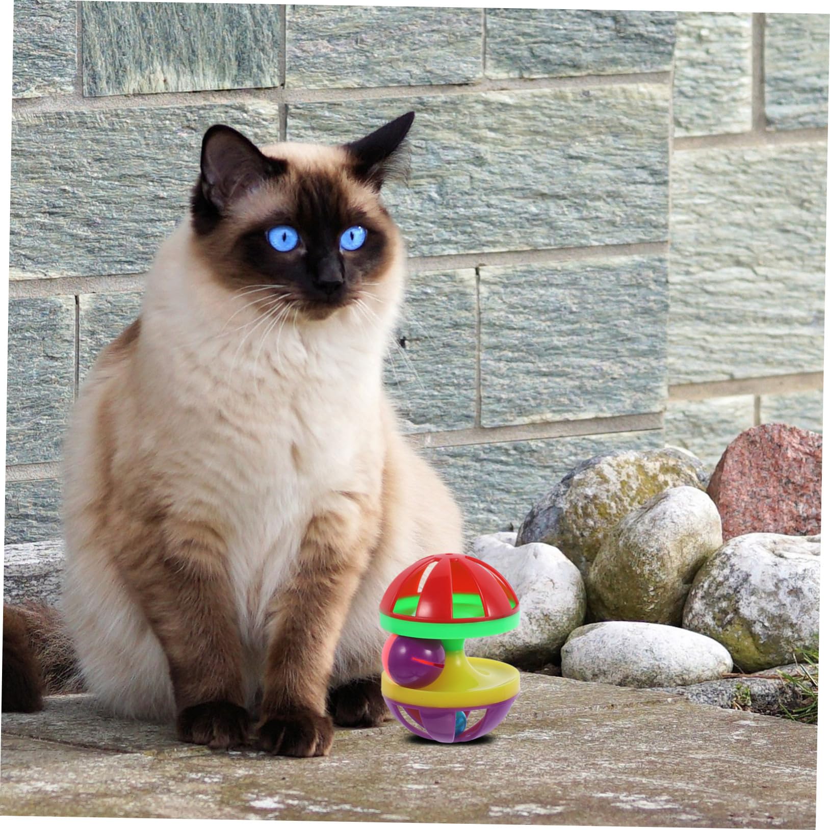 Didiseaon 12 Piezas Juguetes para Mascotas para Gatos con Cascabeles Suministros para Mascotassuministros para Mascotas Juguete para Gatos Campanillas Pelota De Juguete Gatito