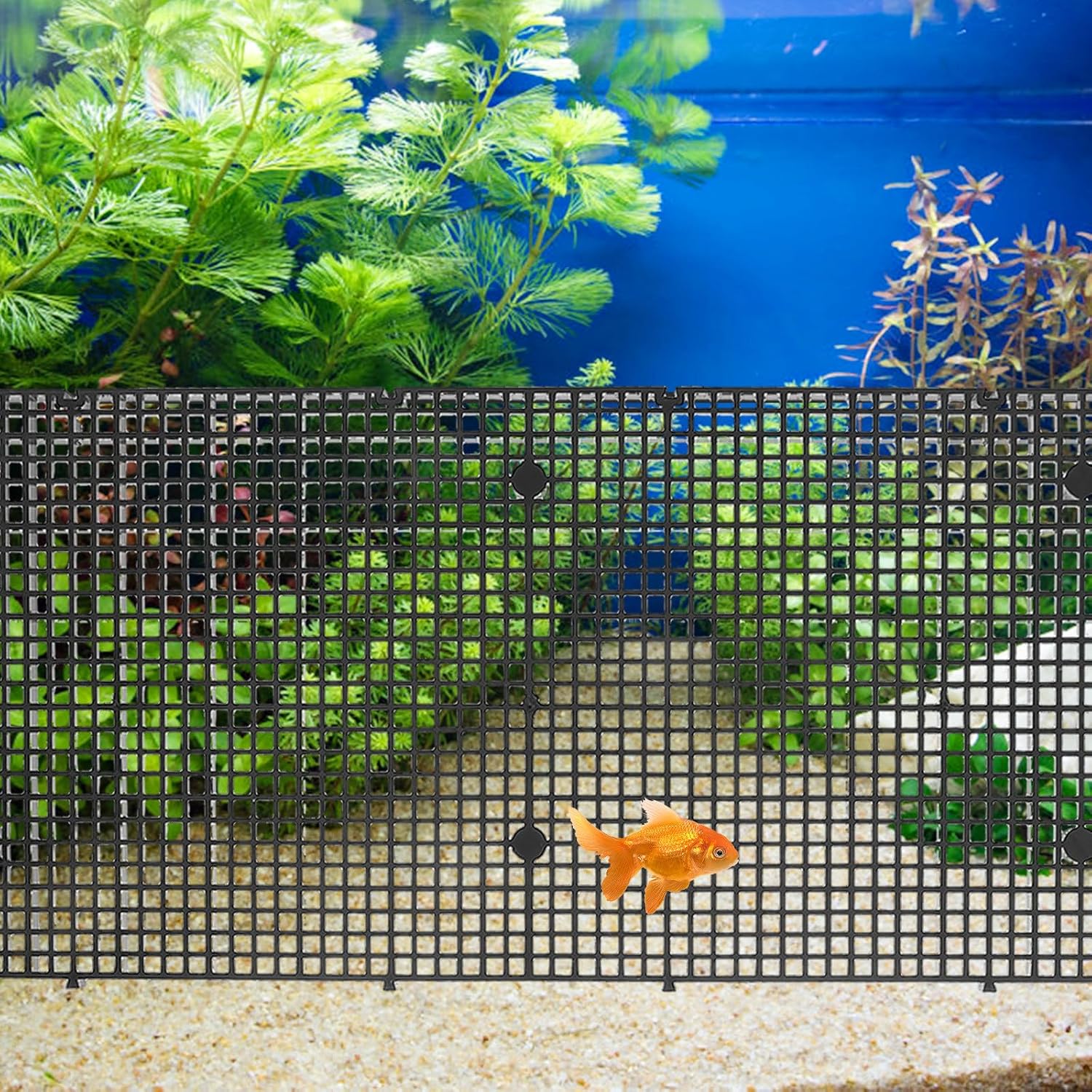 4pcs Fish Tank Divider for Aquarium with Mesh Grid Structure and Jump-Prevention Design, Cuttable Black PC Plastic Grid Plates with Suction Cups, Betta Fish Separator and Isolation