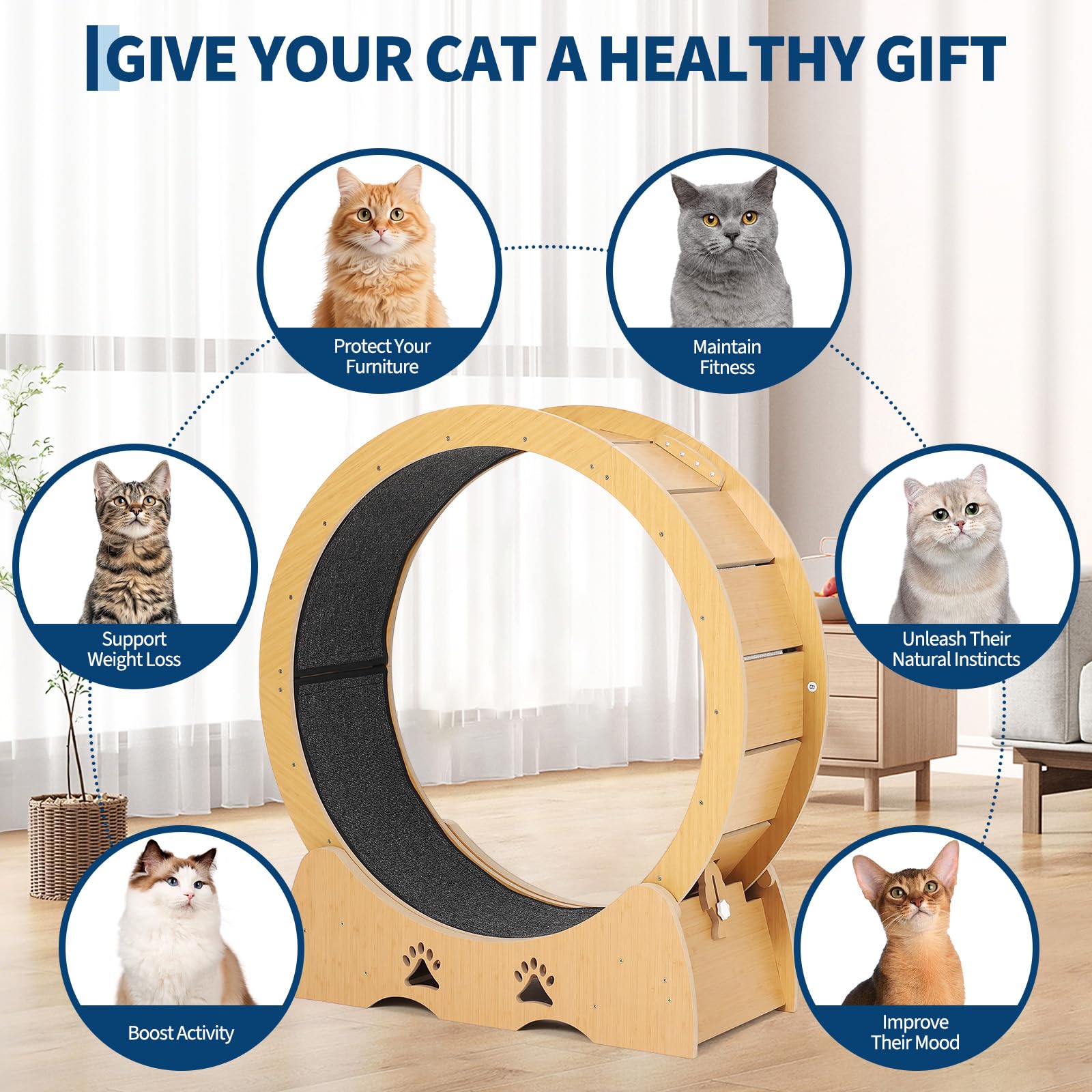 Rueda de Gato XXL de 87 cm para Mascotas y Gatos silenciosos con Suelo Antideslizante, Remolque de Juego y Cierre de Seguridad, Estable para Gatos Activos y Razas de Pelo Largo