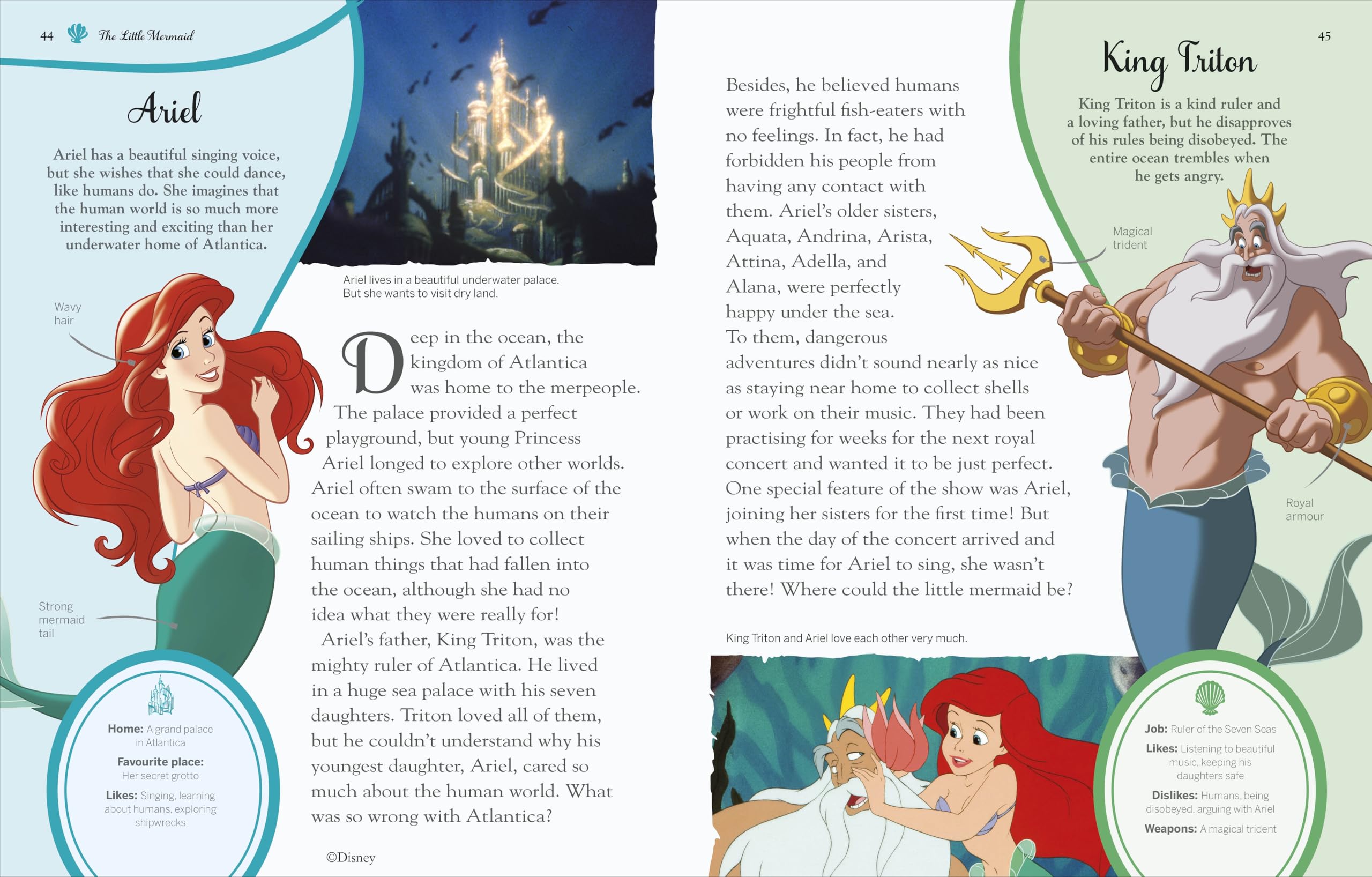 Disney Princess Enchanted Character Guide: Relive the Spellbinding Stories of the Disney Princesses in This Magical Guide