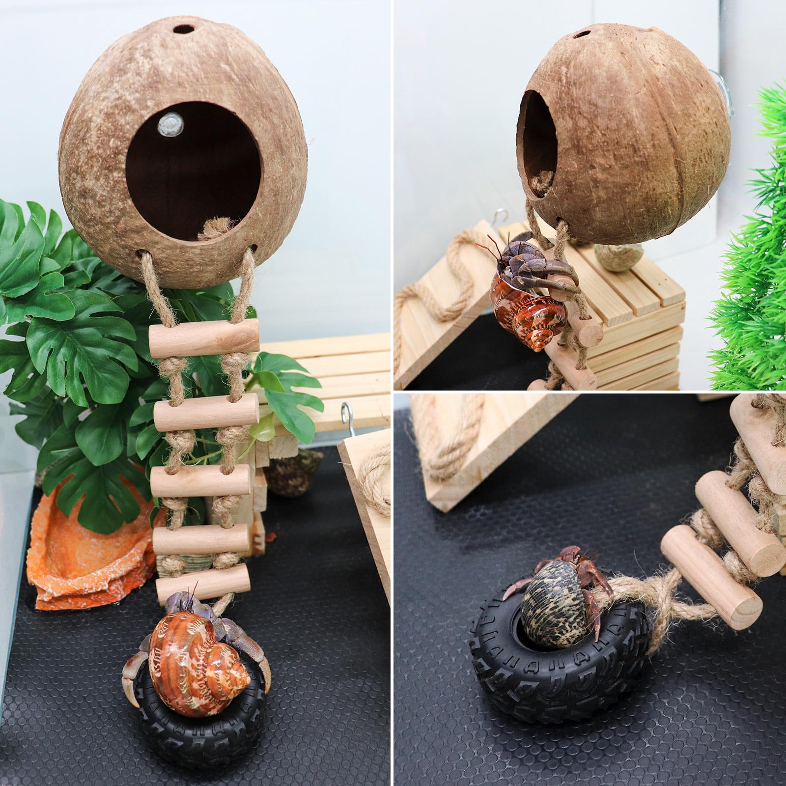 Juguete de escalada de cangrejo ermitaño, escondite de reptiles de coco natural con escalera, casa de reptiles de coco colgante, accesorios de hábitat de jaula o cueva de tanque, adecuado para gecko