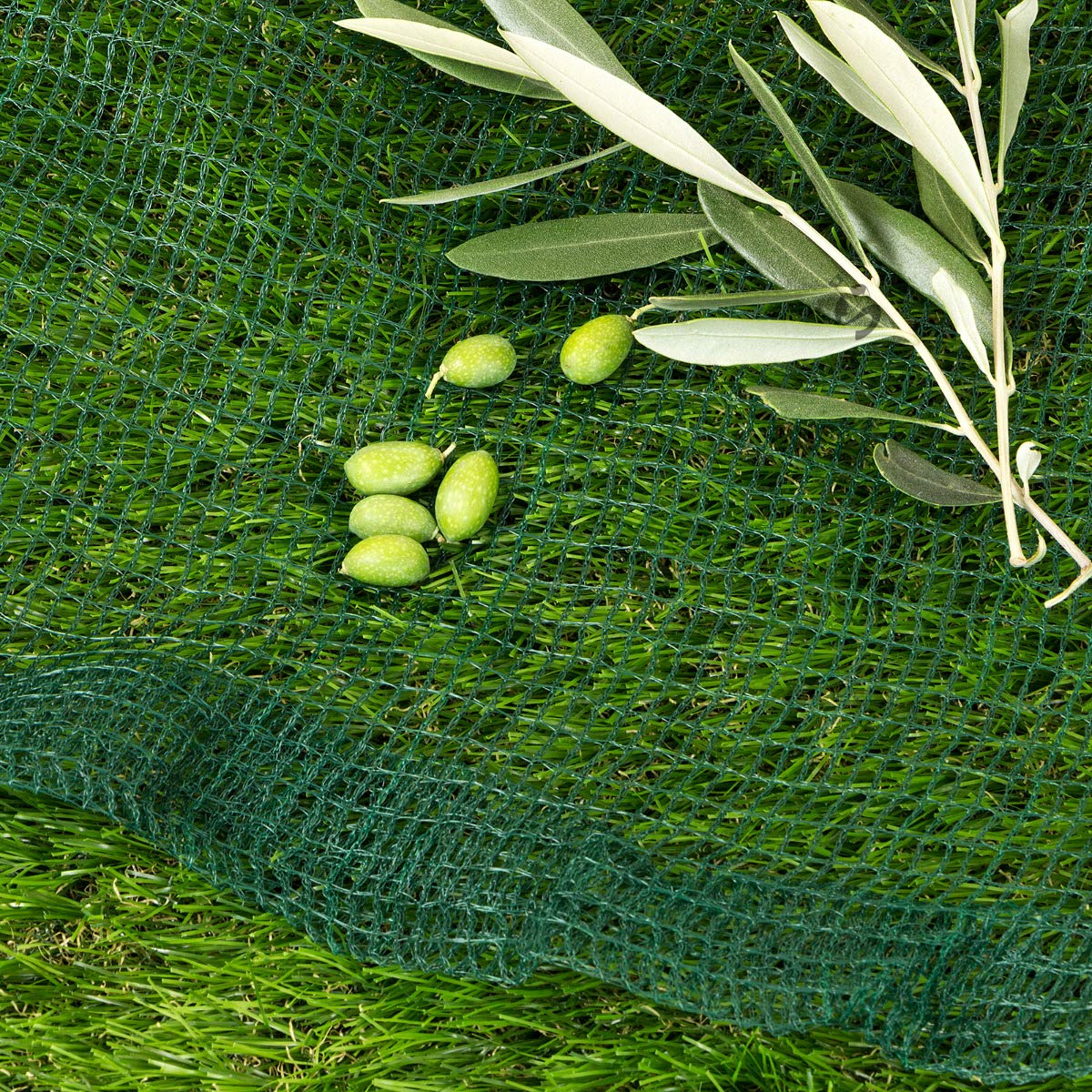 Rete Antigrandine Liguria Olive Frutteti Piegata 1x50 m STI