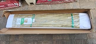 Review Image by Kit Kit