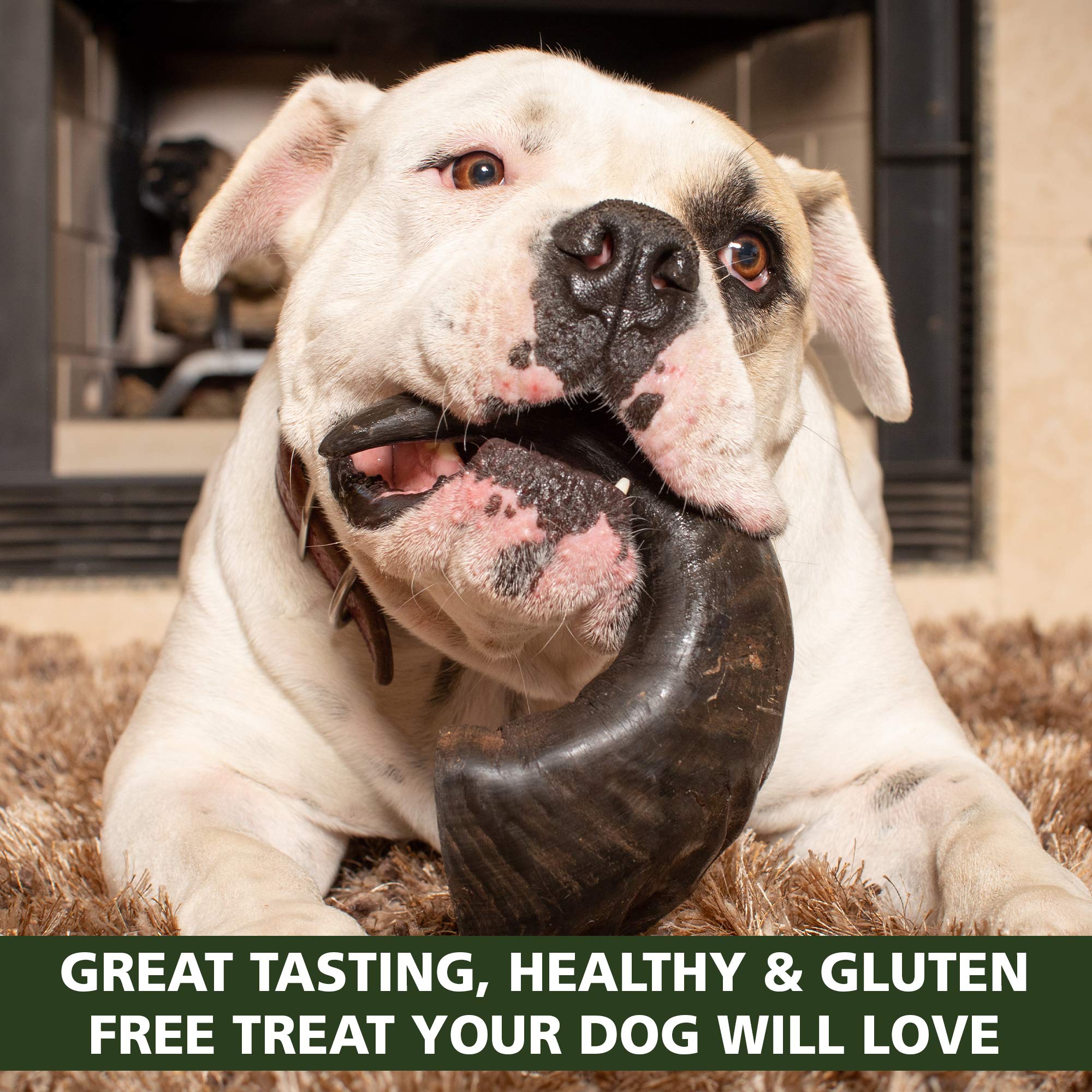 outback jack bully horn