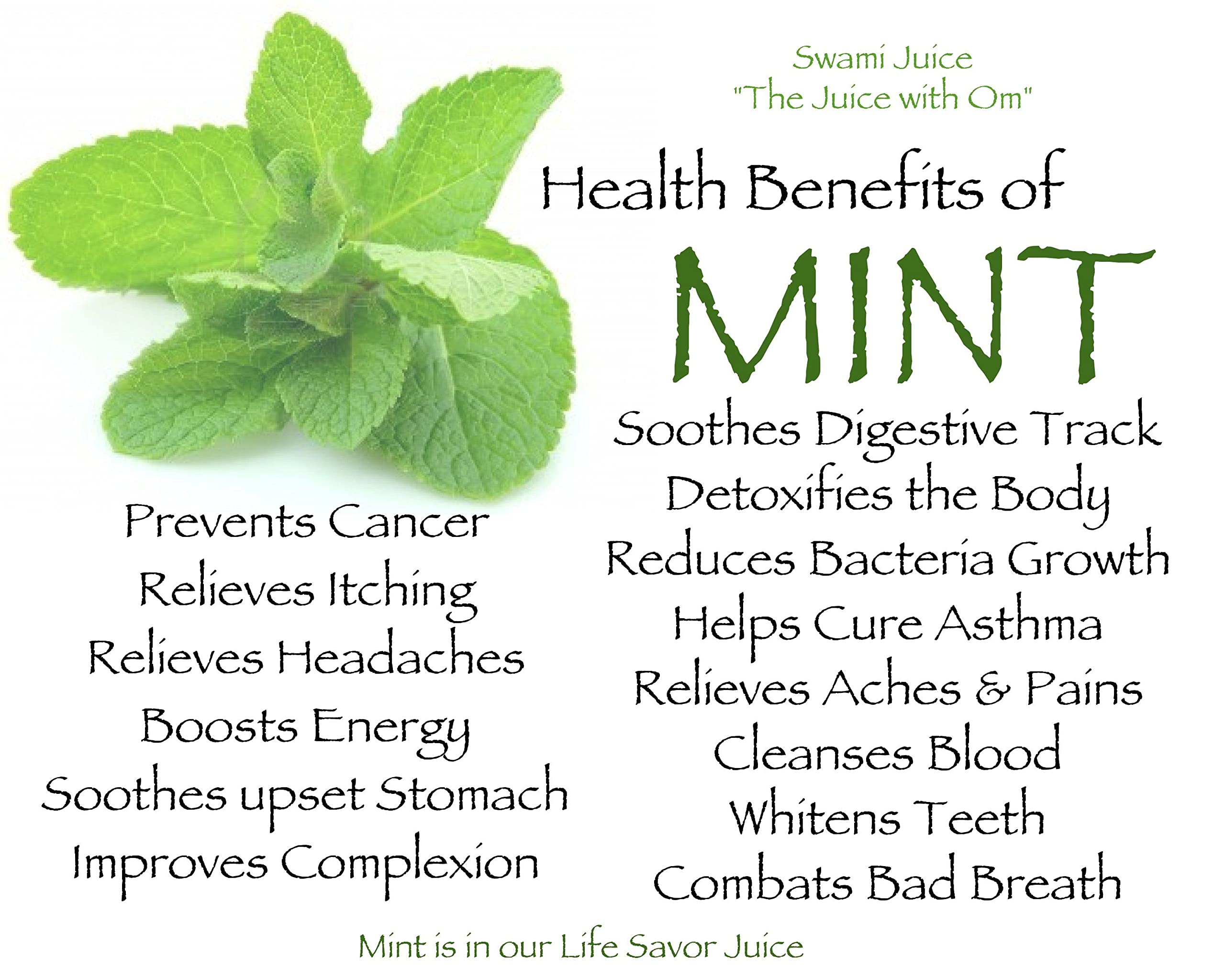 Diljeet SPICES 200Gm Podhina Powder |Peppermint Leaves (Without Stem -Hand Picked) - Image 3 thumbnail