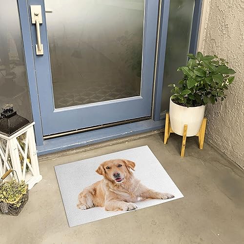 Miniatura 3 de Ambesonne Golden Retriever Doormat, Young Pedigree Puppy Laying Over White Background Dog, Decorative Polyester Floor Mat with Non-Skid Backing, 30"