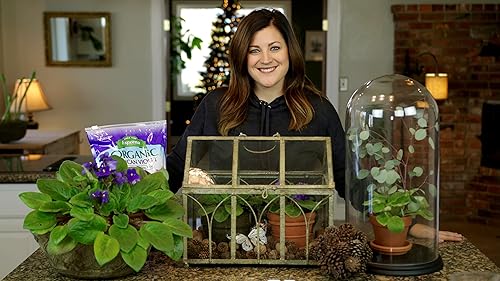 Miniatura 3 de Espoma Mezcla de tierra orgánica para macetas natural y orgánica de primera calidad para violetas africanas y todas las plantas de interior con