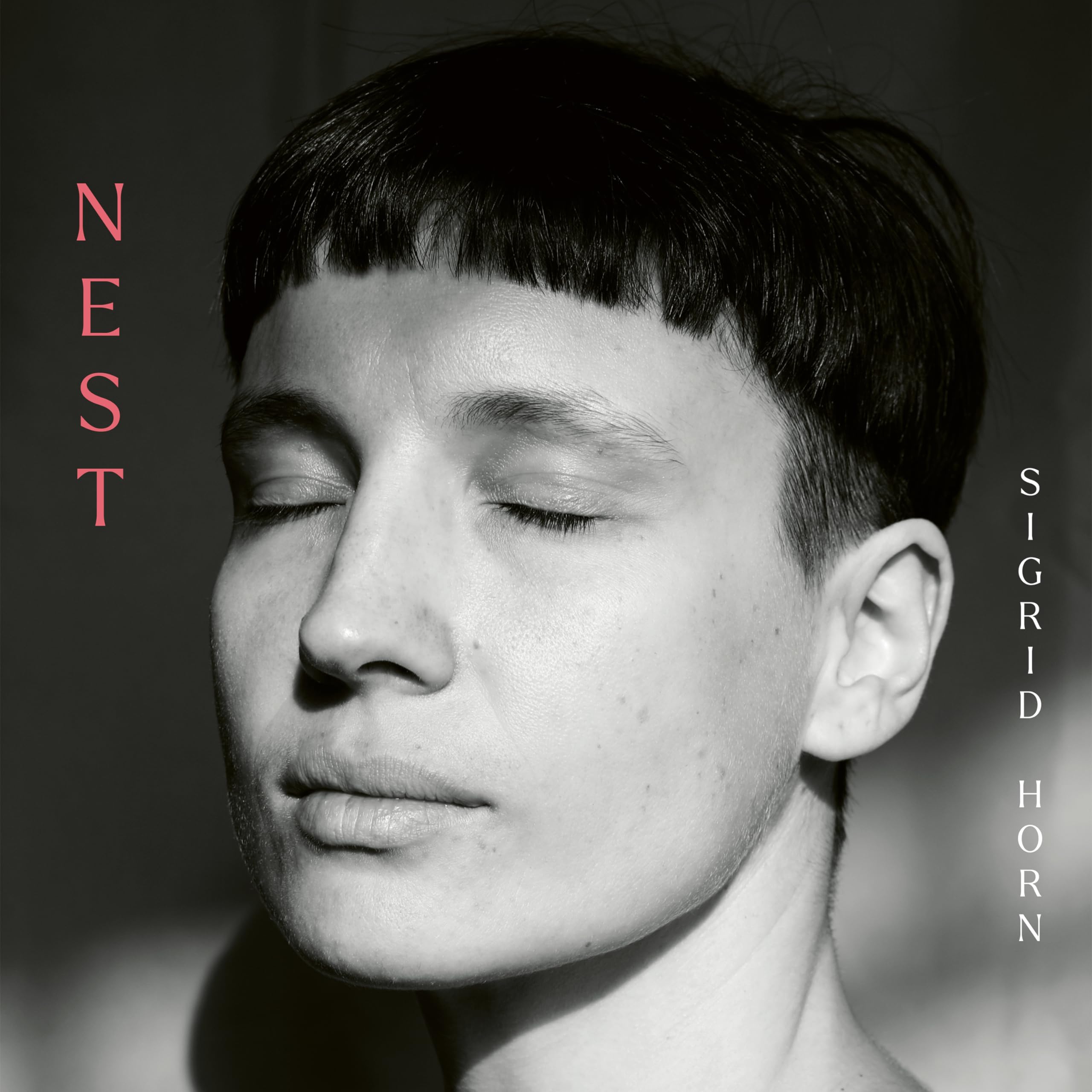 Nest [VINYL]