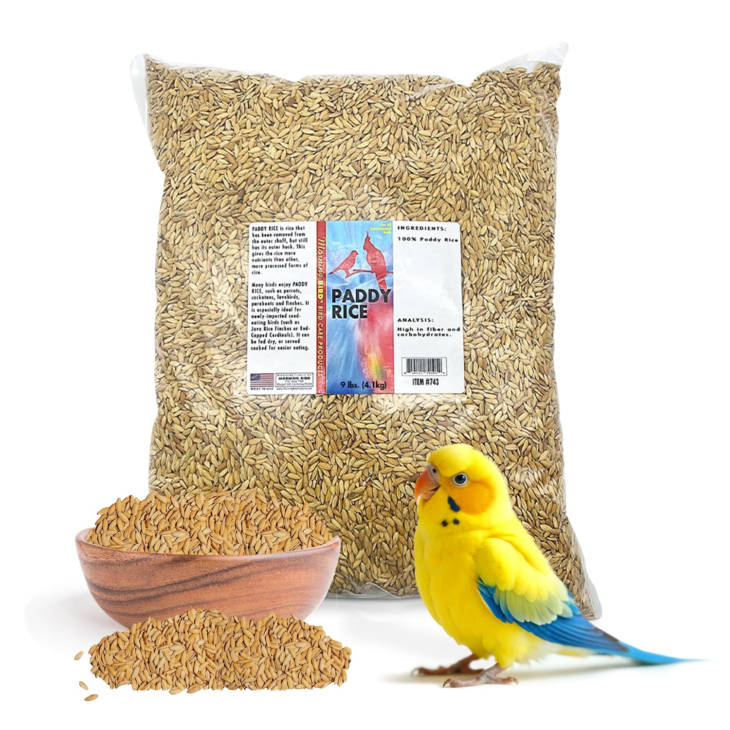 Morning Bird Paddy Rice 9 lbs Bird Seed for Optimal Health & Nutritious Pet Bird Food – Supports Feathers & Immunity – Ideal for All Seed Eating Birds.
