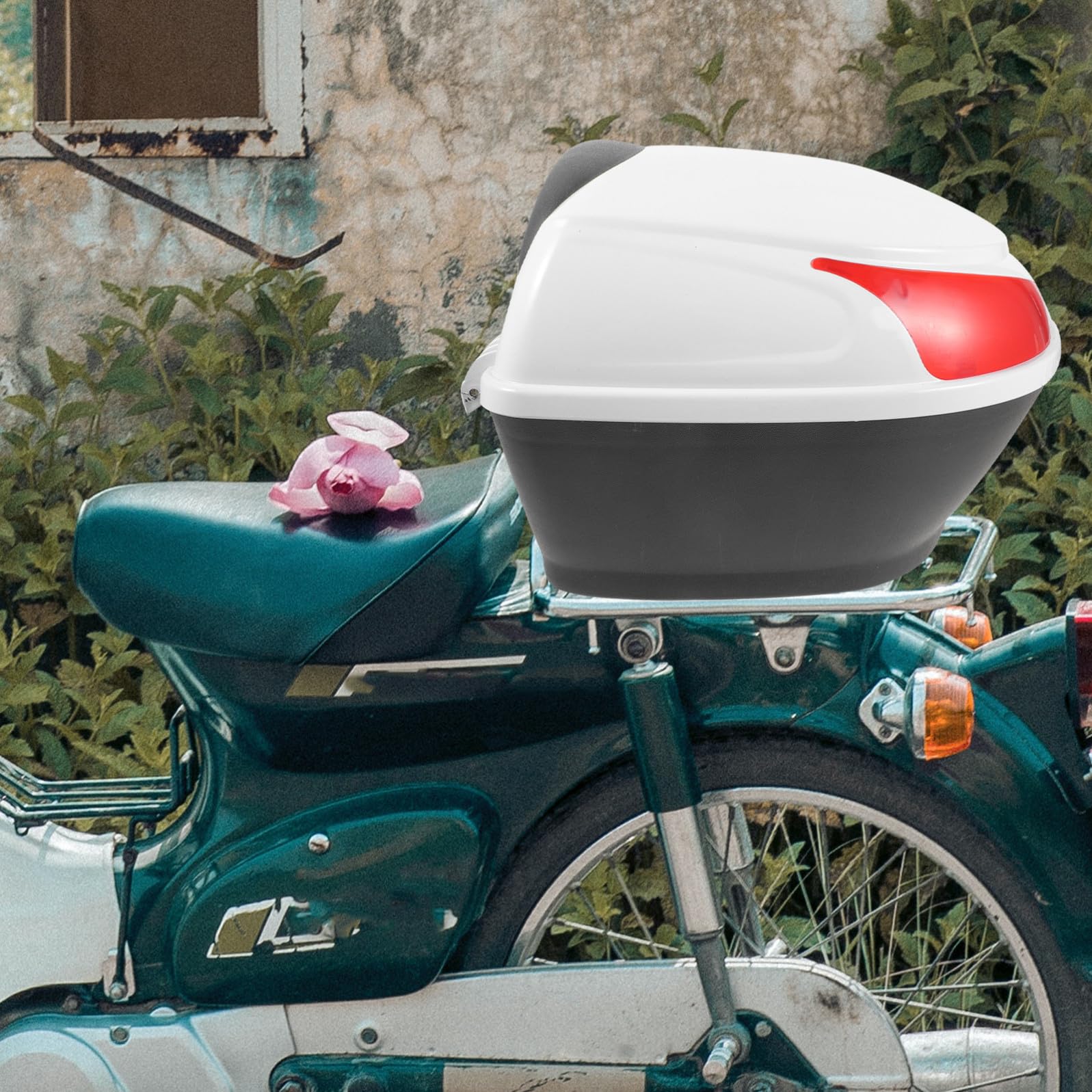 Bauletto Moto Universale Scatola Portaoggetti Posteriore in Tela, Resistente e Pratico, Facile Installazione, per Casco e Accessori, per Bicicletta