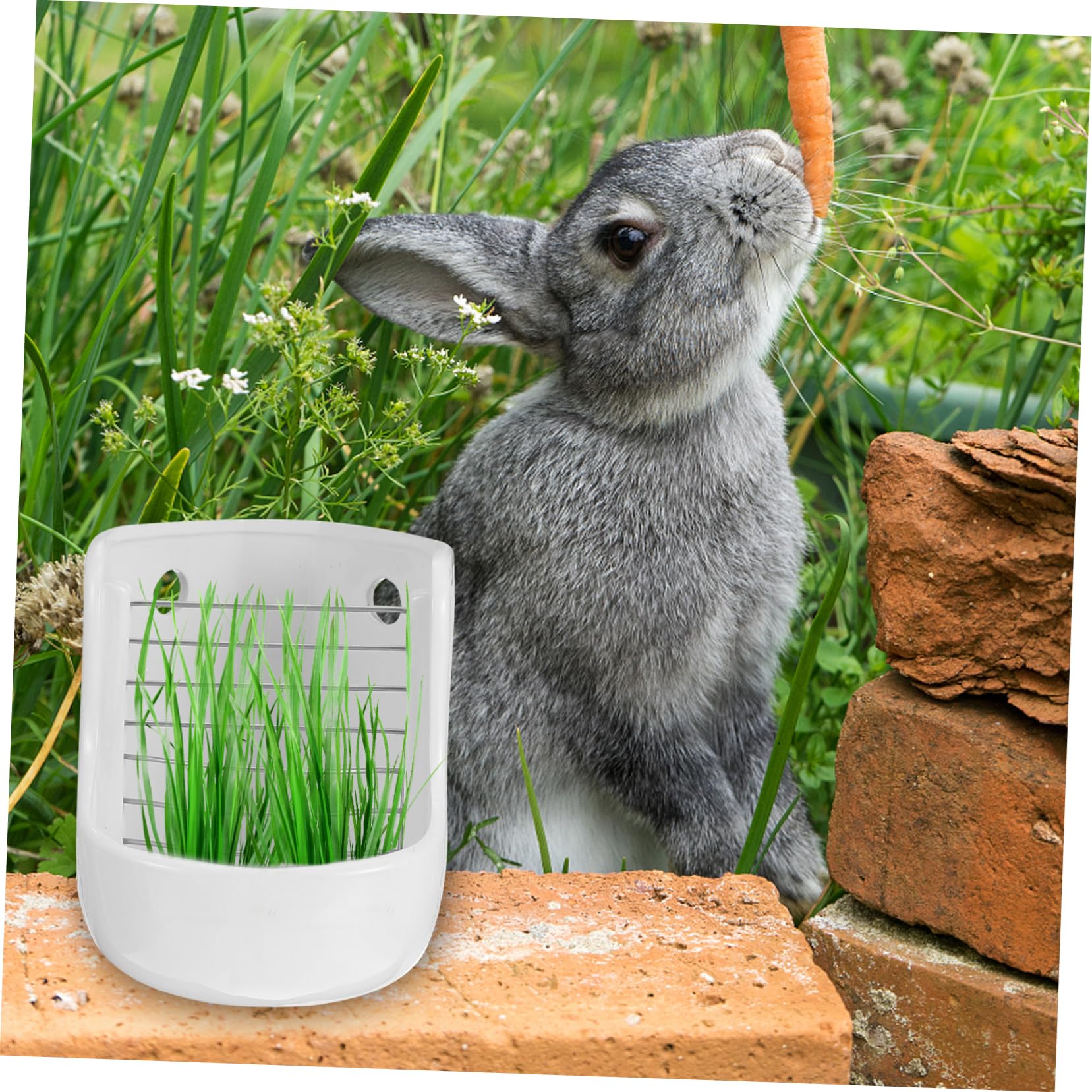YARNOW Mangeoire pour Petits Animaux de Compagnie Mangeoire pour Cochons et Lapins Support Alimentaire Bol