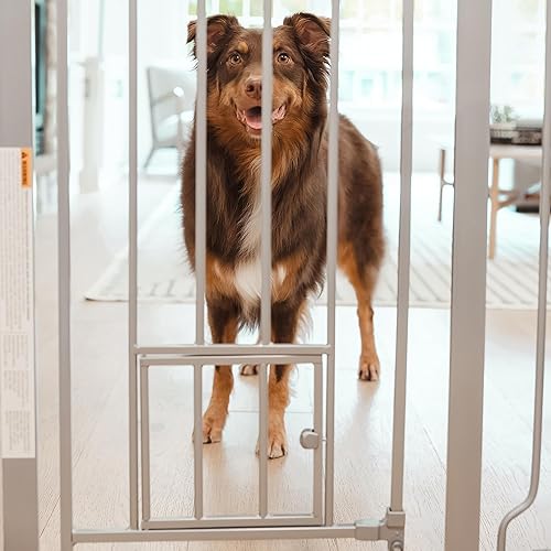 Miniatura 8 de Carlson - Puerta extra alta para mascotas con puerta pequeña para mascotas incluye kit de extensión de 4 pulgadas paquete de 4 kit de montaje a