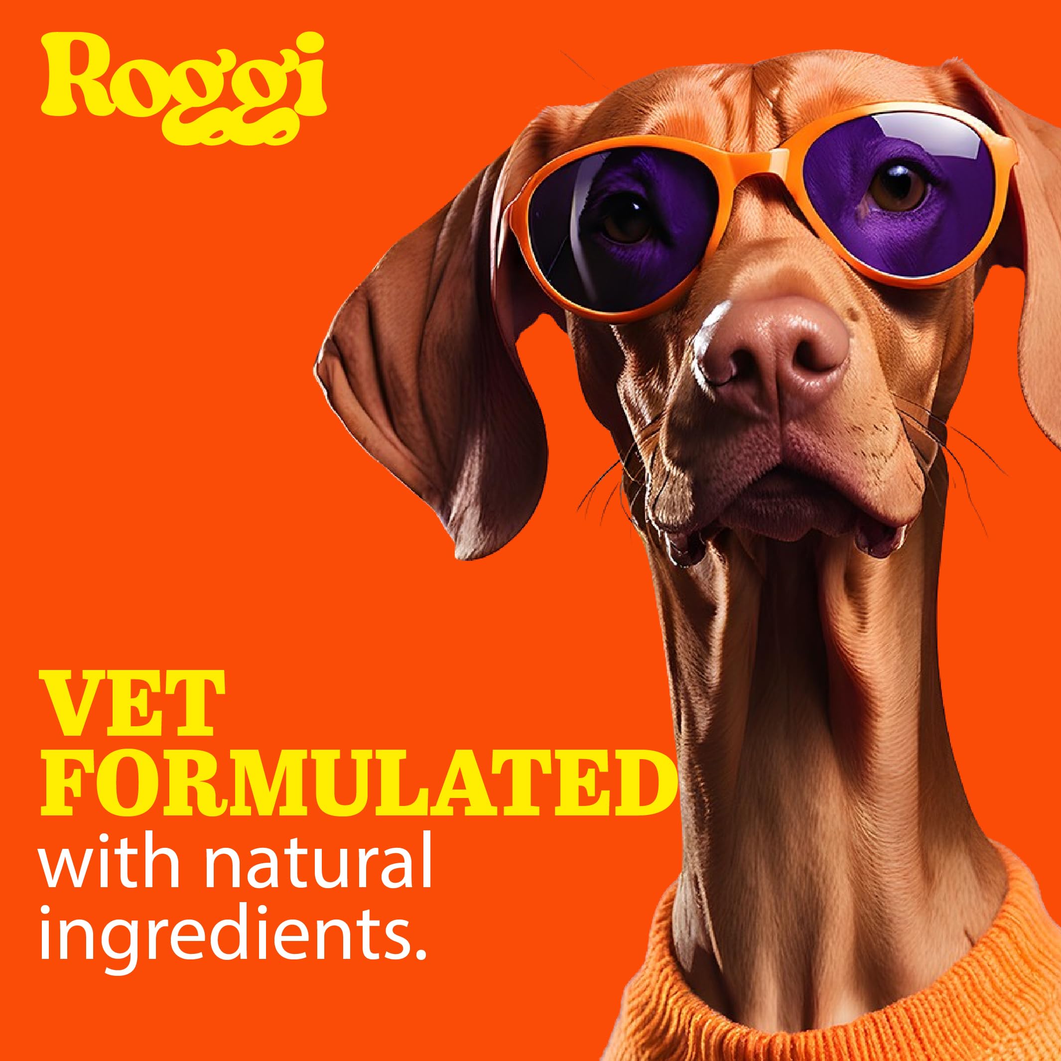 ROGGI Digestive Probiotic Chews for Dogs Probiotics for Dogs Dog Probiotics for Gut Health Dog Probiotic Supplements - Image 3