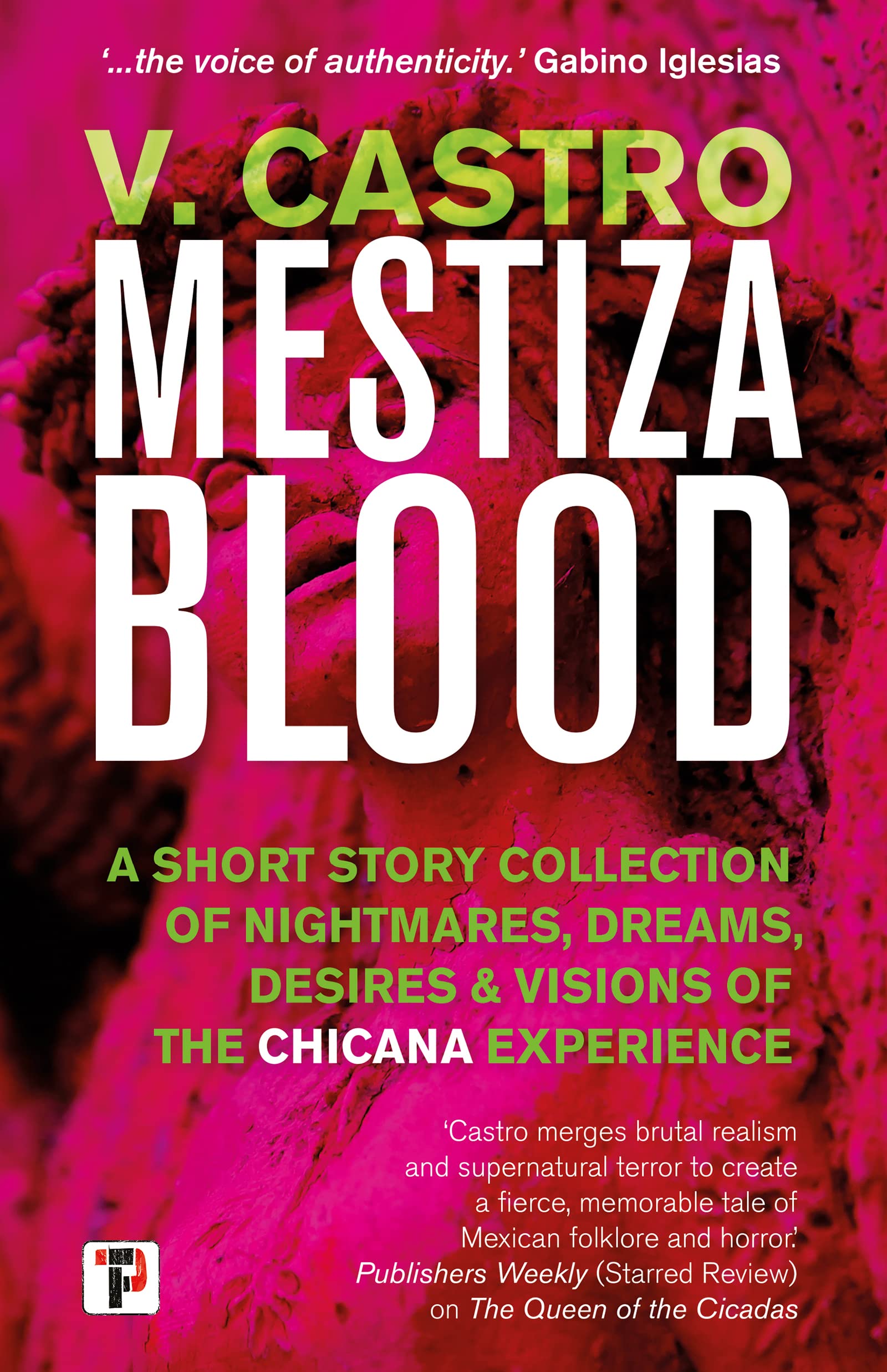 Mestiza Blood by V. Castro (Paperback Book)