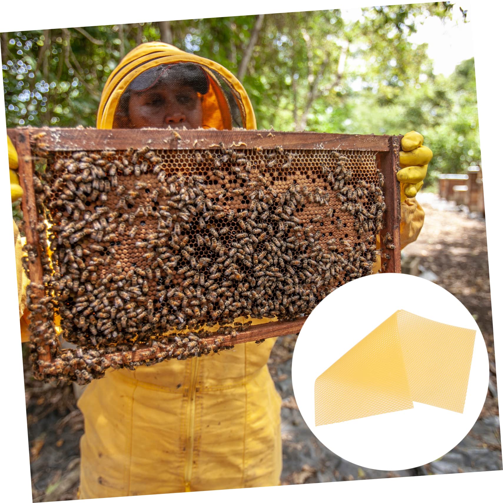 VANZACK 30 Láminas Base de Panal de Abejas de Cera Natural para Apicultura, Alta Producción y Rápida Formación de Colmena, Color Amarillo, Ideales para Manualidades y Fabricación de Velas