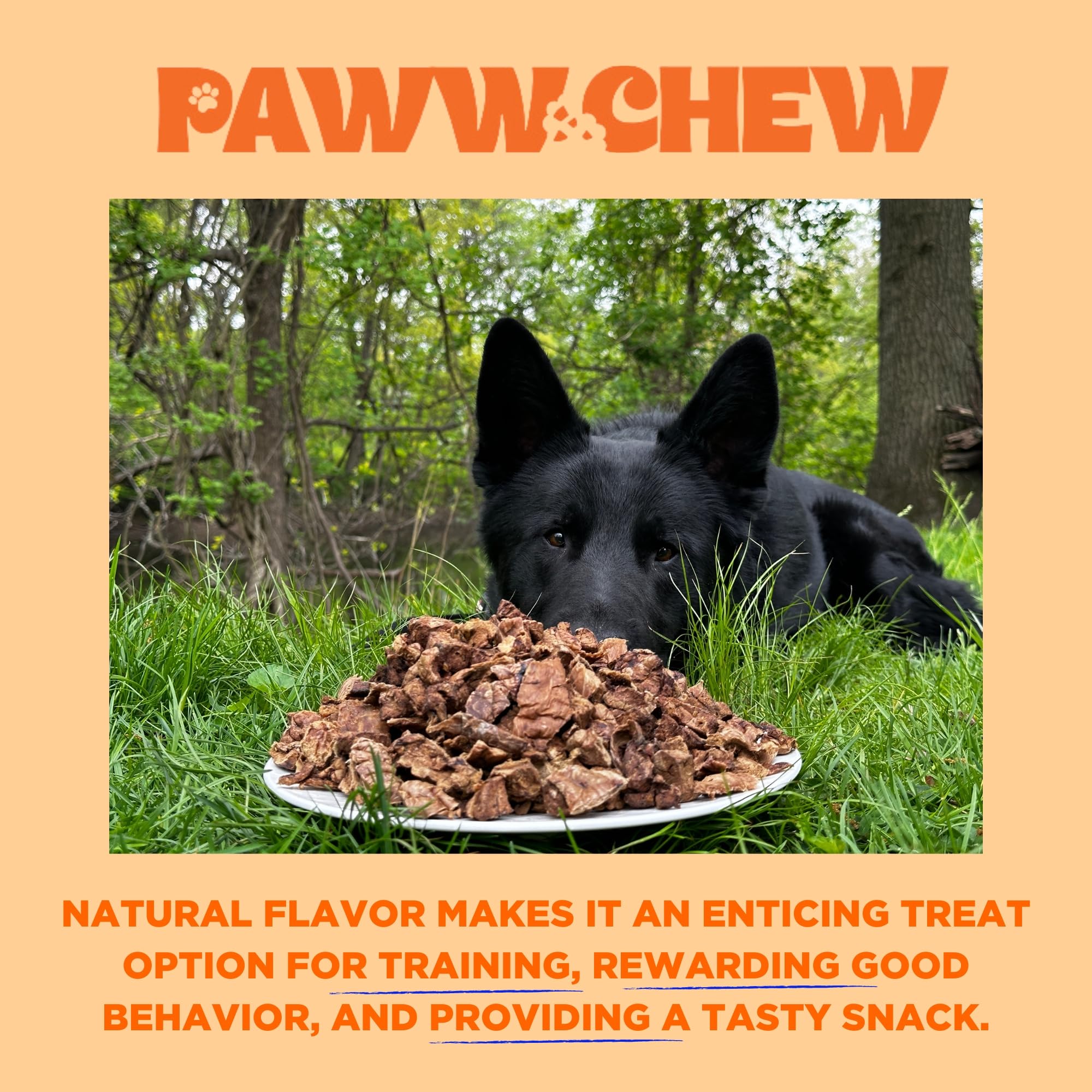 PAWW CHEW Beef Lung Dog Treats - 100% Natural, Single Ingredient, (1 Pound) Made in The USA, Dried & Dehydrated, High Protein, High Value Dog Training Treats, Grain Free, Low-Odor Free for All Breeds - image 6